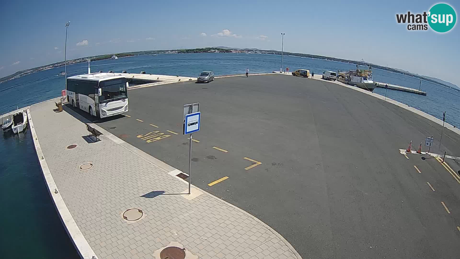 Tkon camera en vivo – Transportar – Dalmacia – Croacia