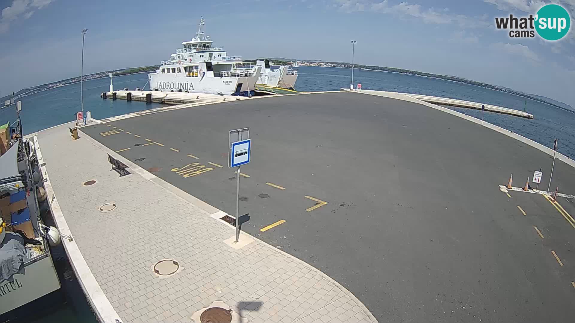 Tkon camera en vivo – Transportar – Dalmacia – Croacia