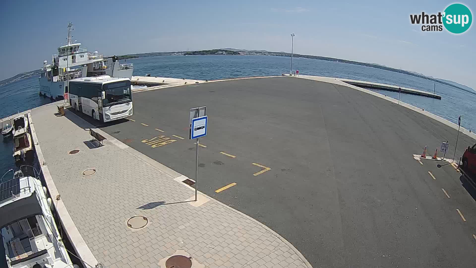 Tkon camera en vivo – Transportar – Dalmacia – Croacia