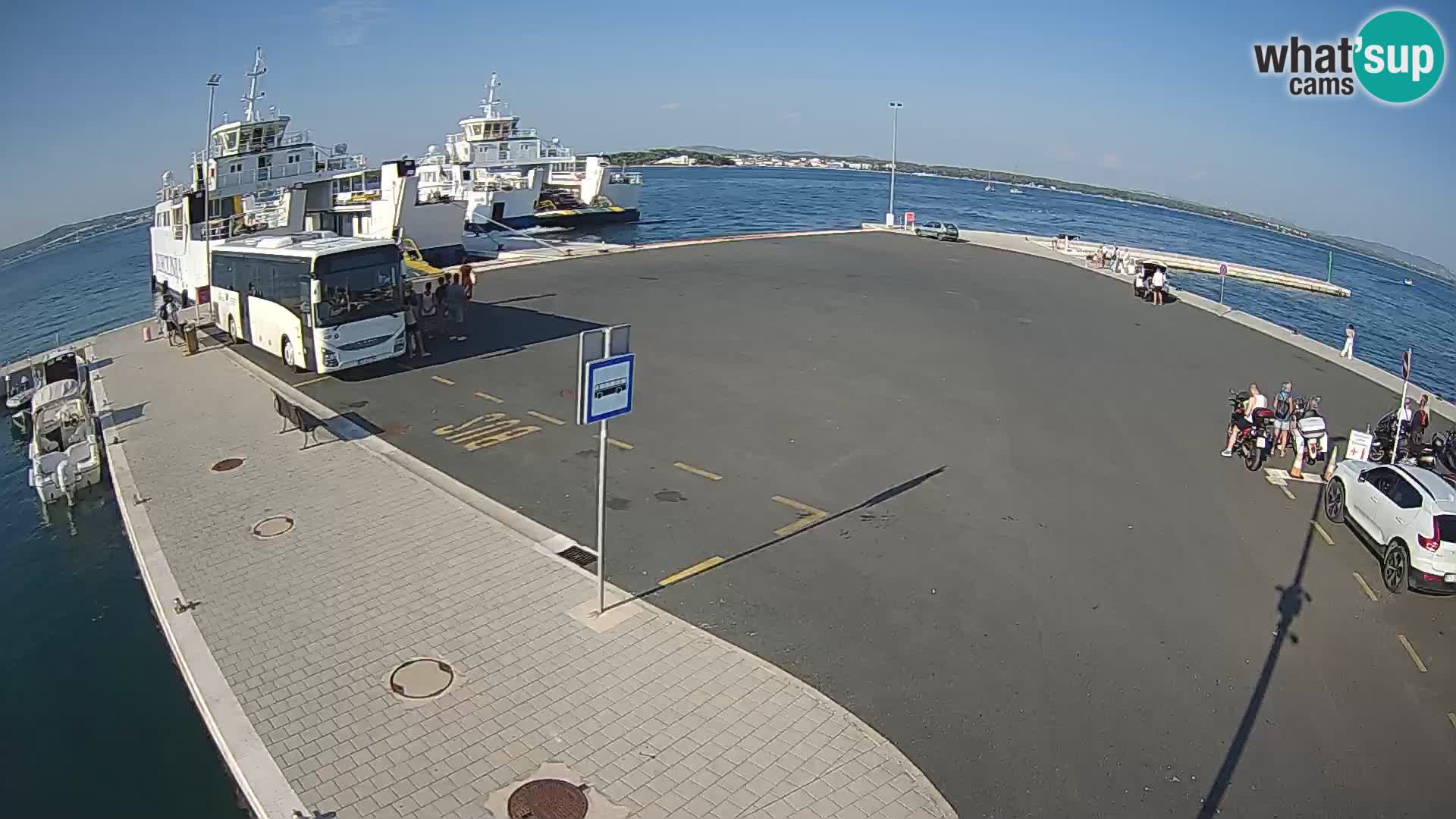 Tkon v živo – trajekt – Dalmacija – Hrvaška