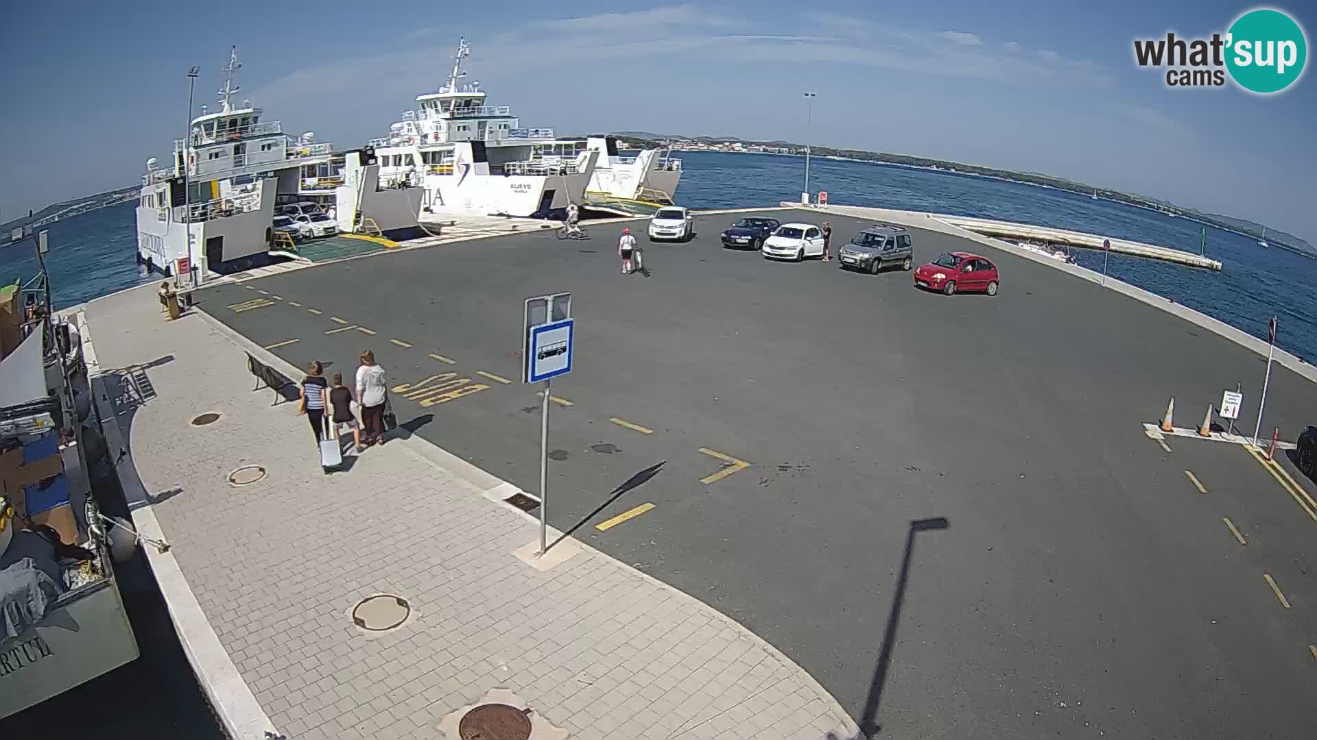 Tkon camera en vivo – Transportar – Dalmacia – Croacia