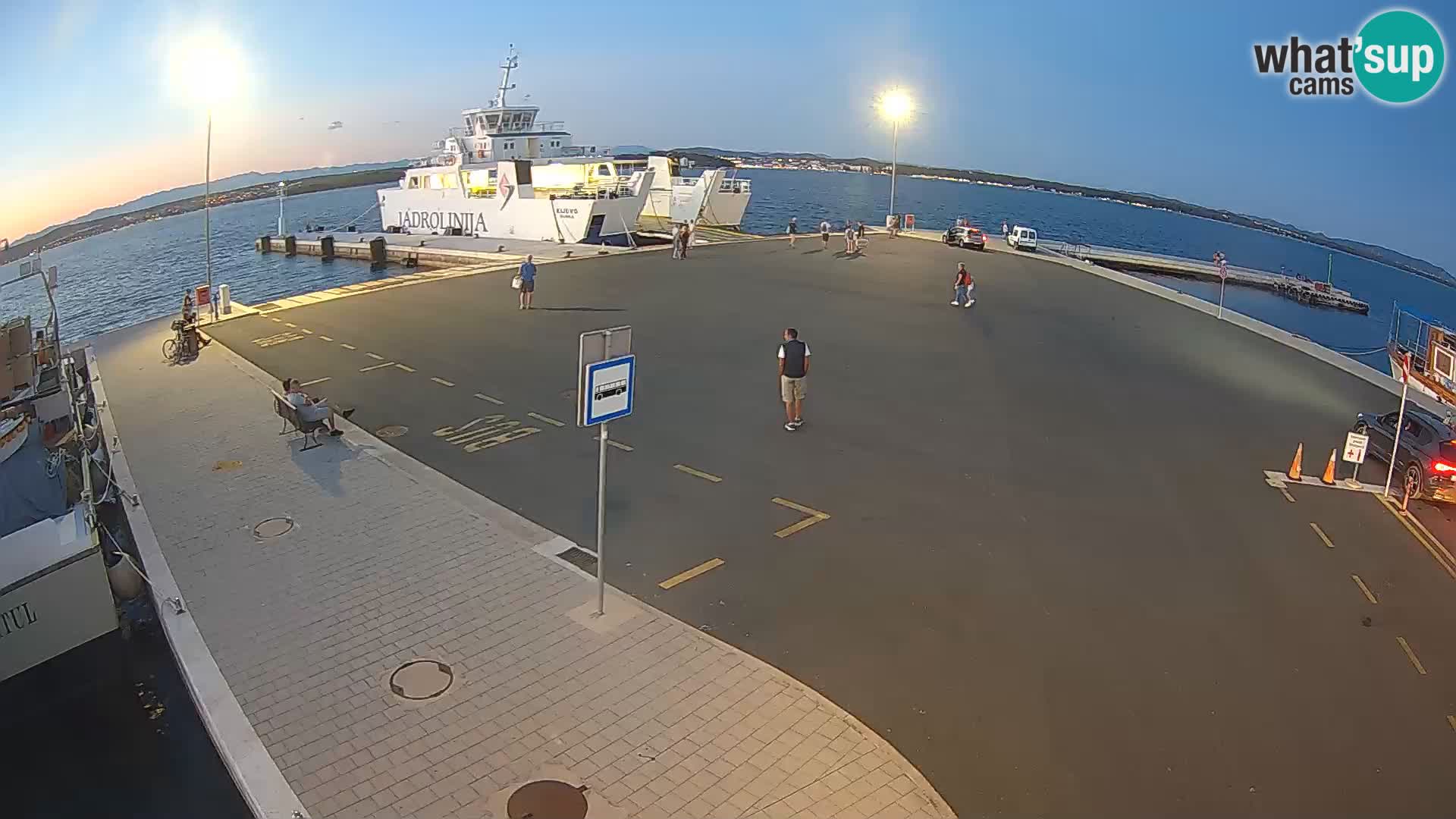 Tkon v živo – trajekt – Dalmacija – Hrvaška