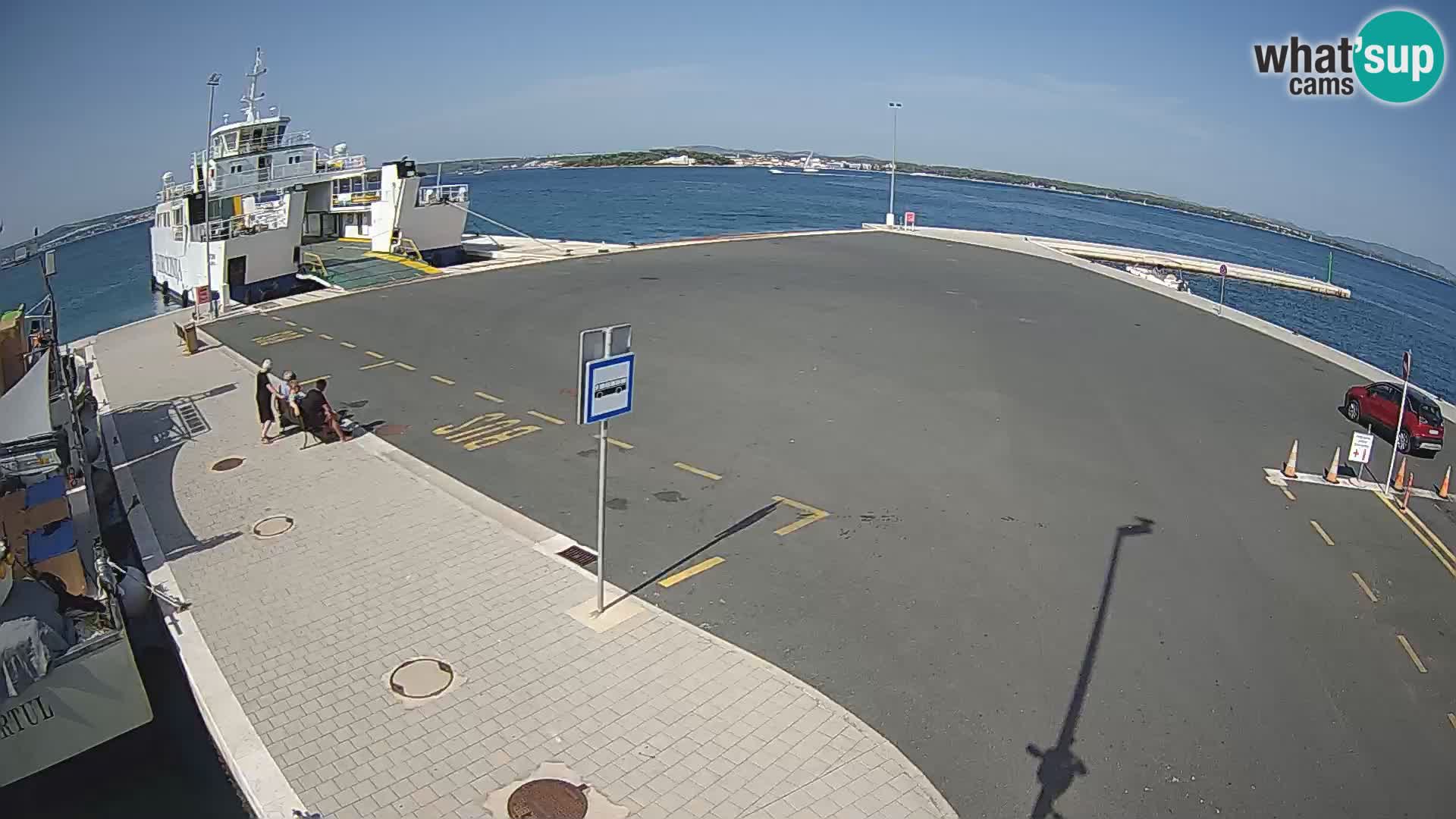 Tkon v živo – trajekt – Dalmacija – Hrvaška