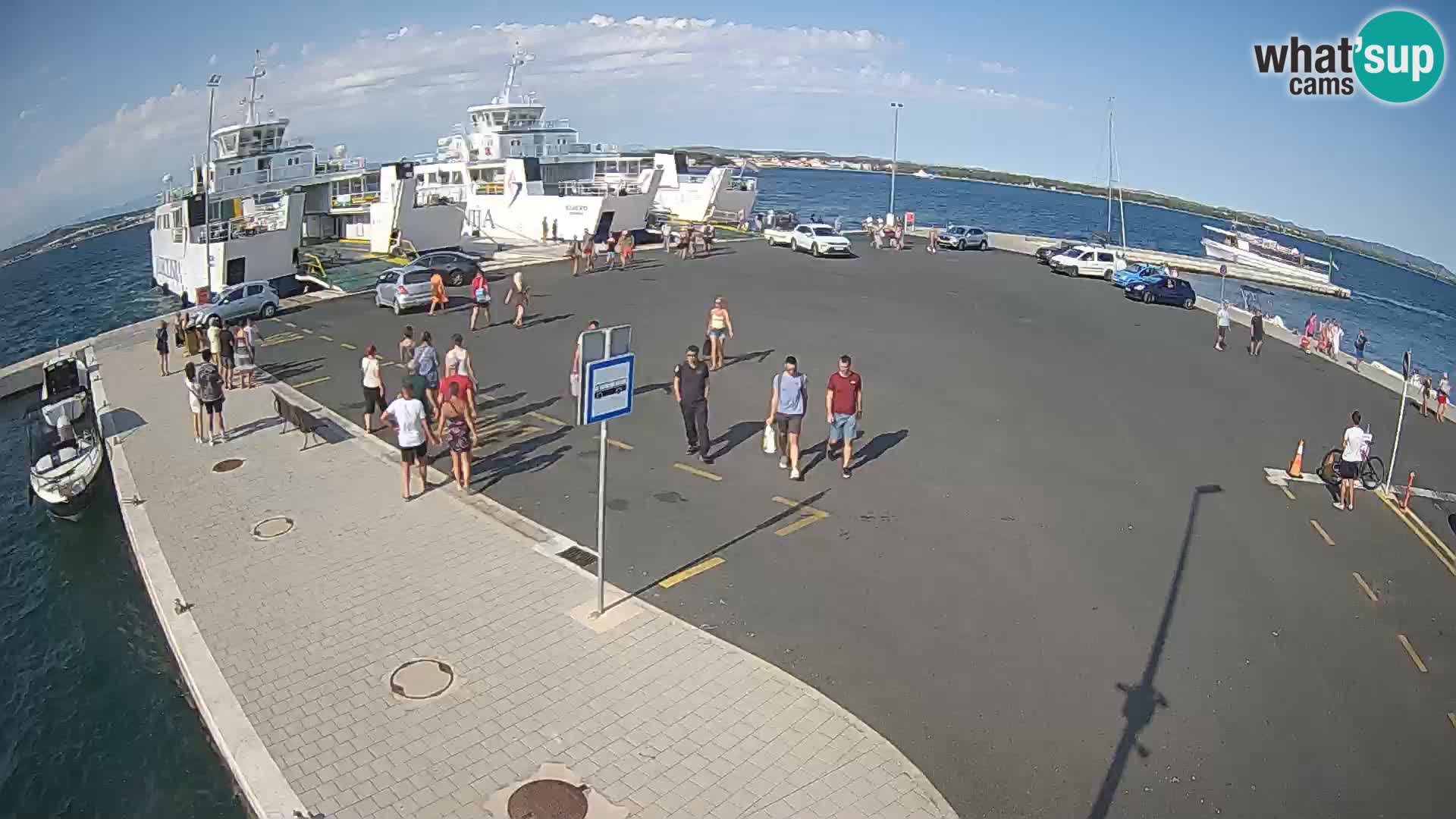 Tkon u živo – trajekt – Dalmacija