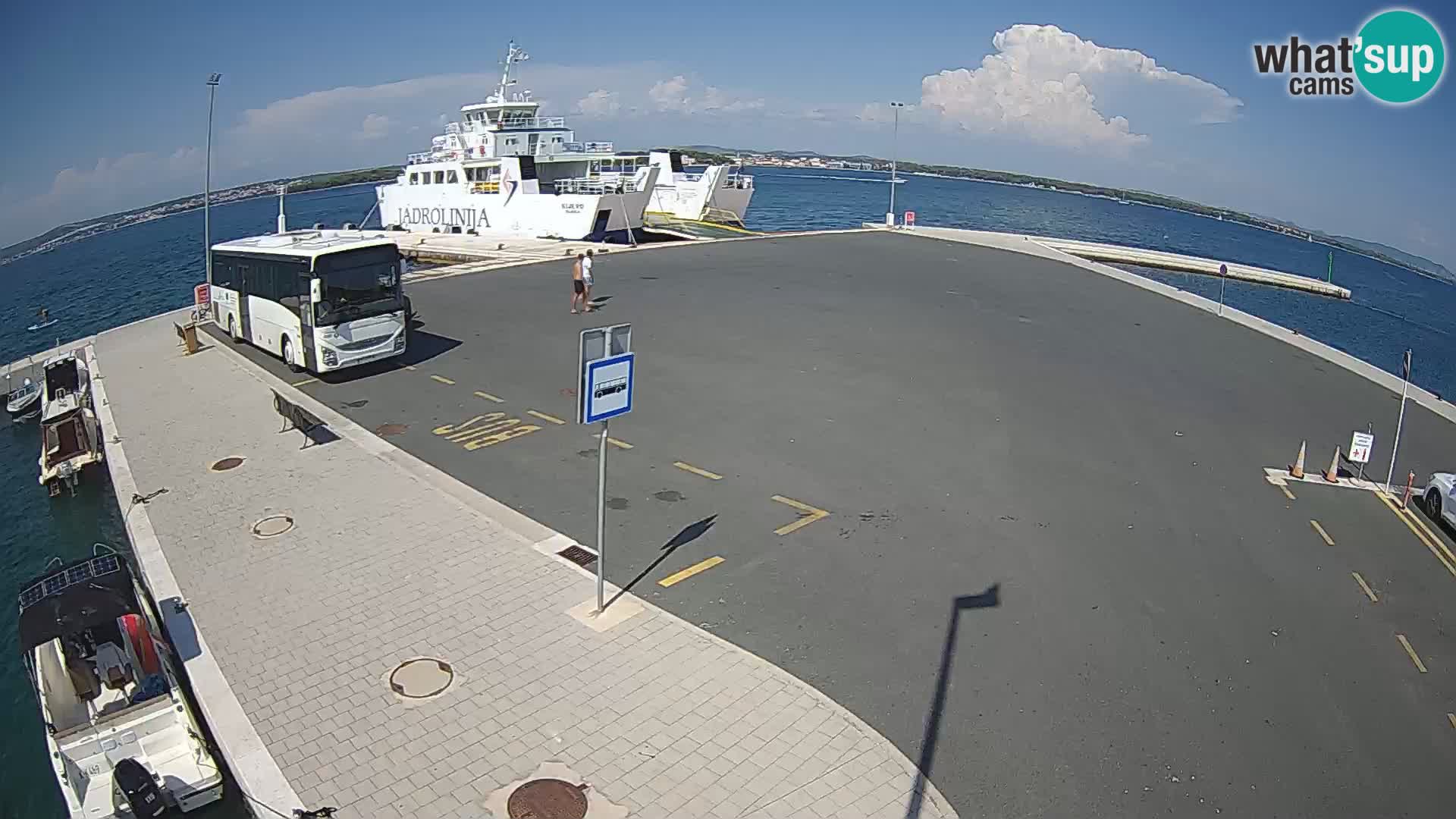Tkon camera en vivo – Transportar – Dalmacia – Croacia