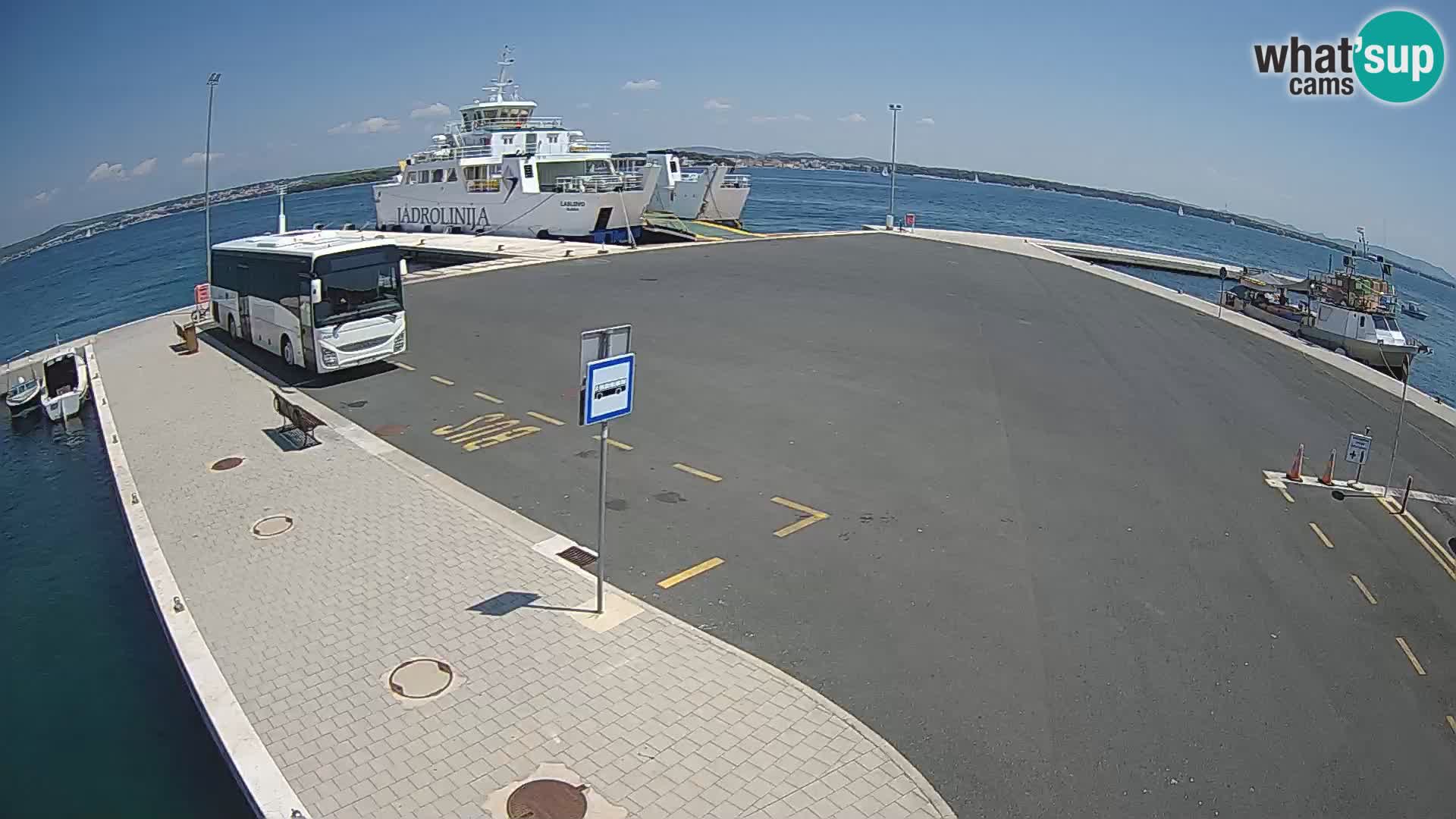Tkon u živo – trajekt – Dalmacija