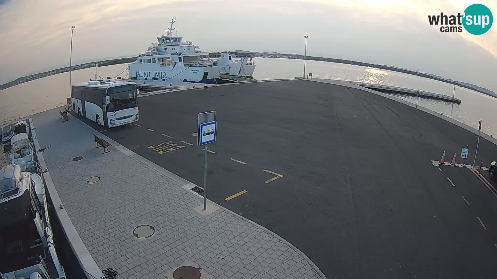 Tkon v živo – trajekt – Dalmacija – Hrvaška