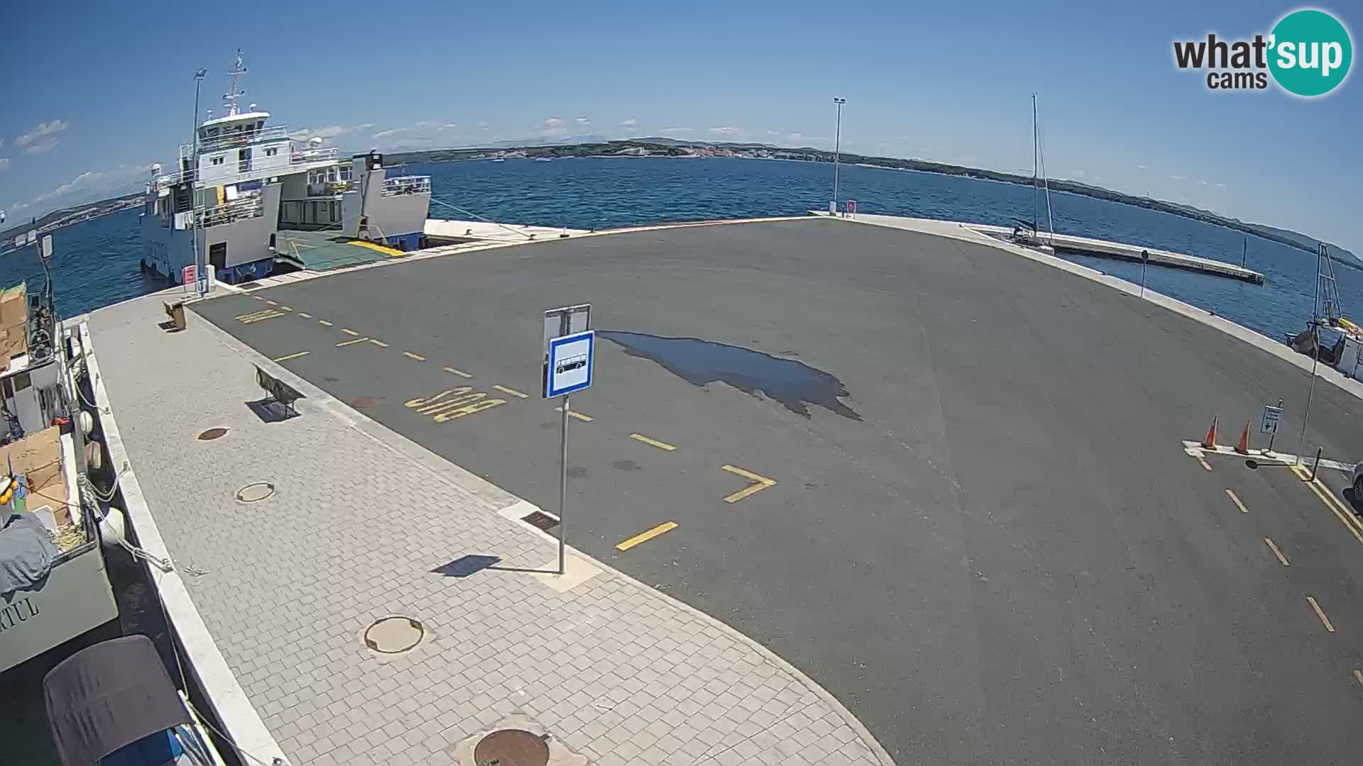 Tkon v živo – trajekt – Dalmacija – Hrvaška