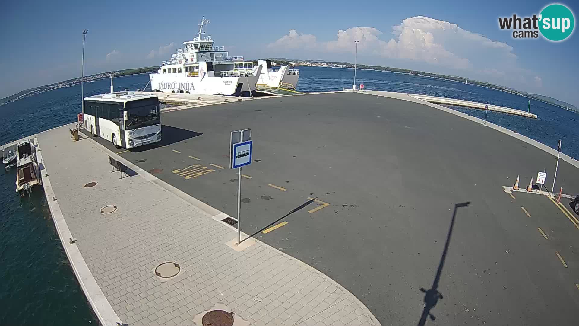 Tkon camera en vivo – Transportar – Dalmacia – Croacia
