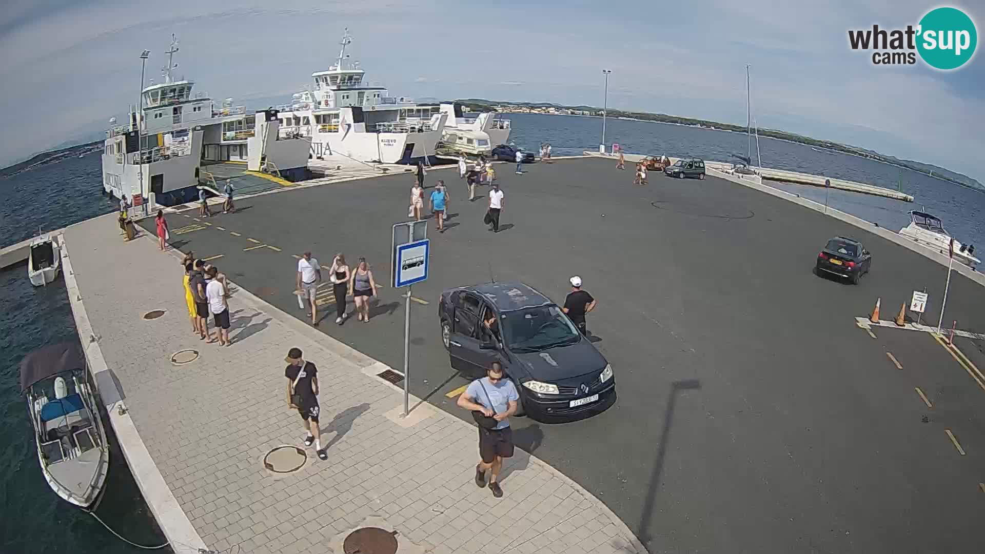 Tkon camera en vivo – Transportar – Dalmacia – Croacia