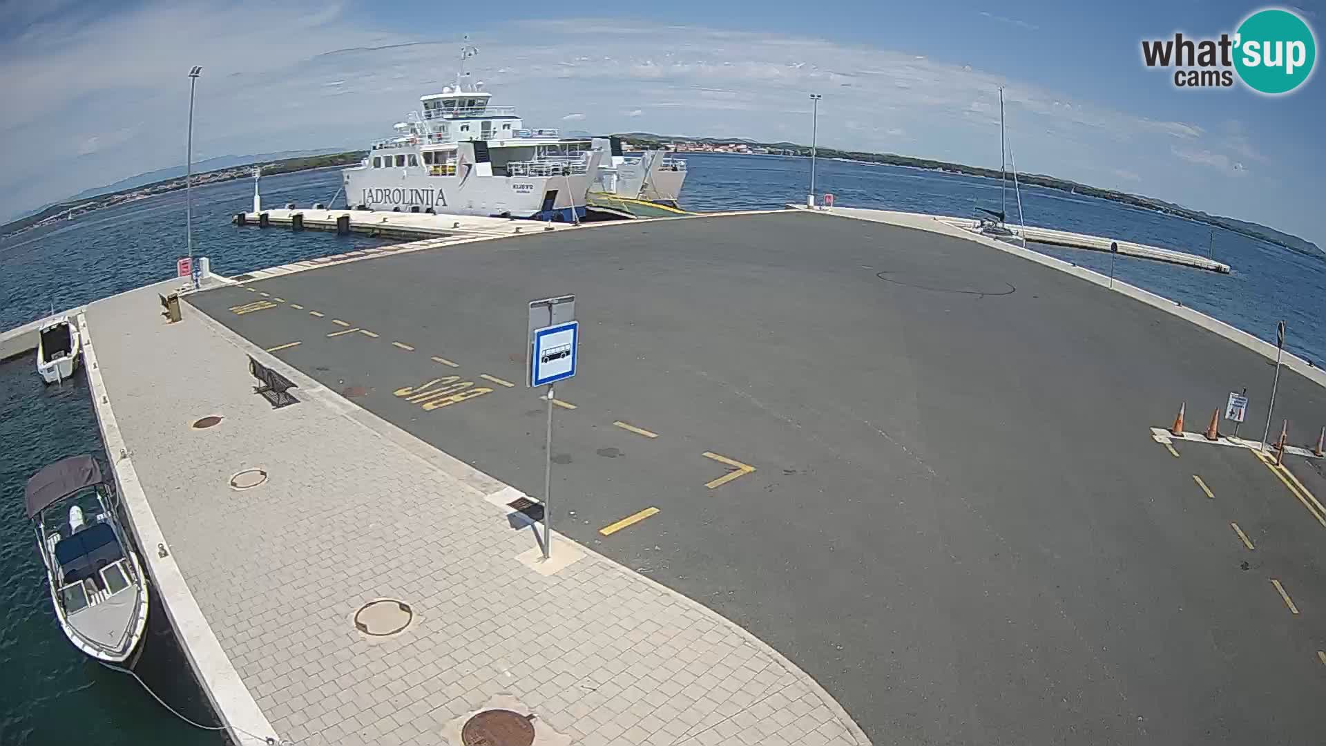 Tkon camera en vivo – Transportar – Dalmacia – Croacia