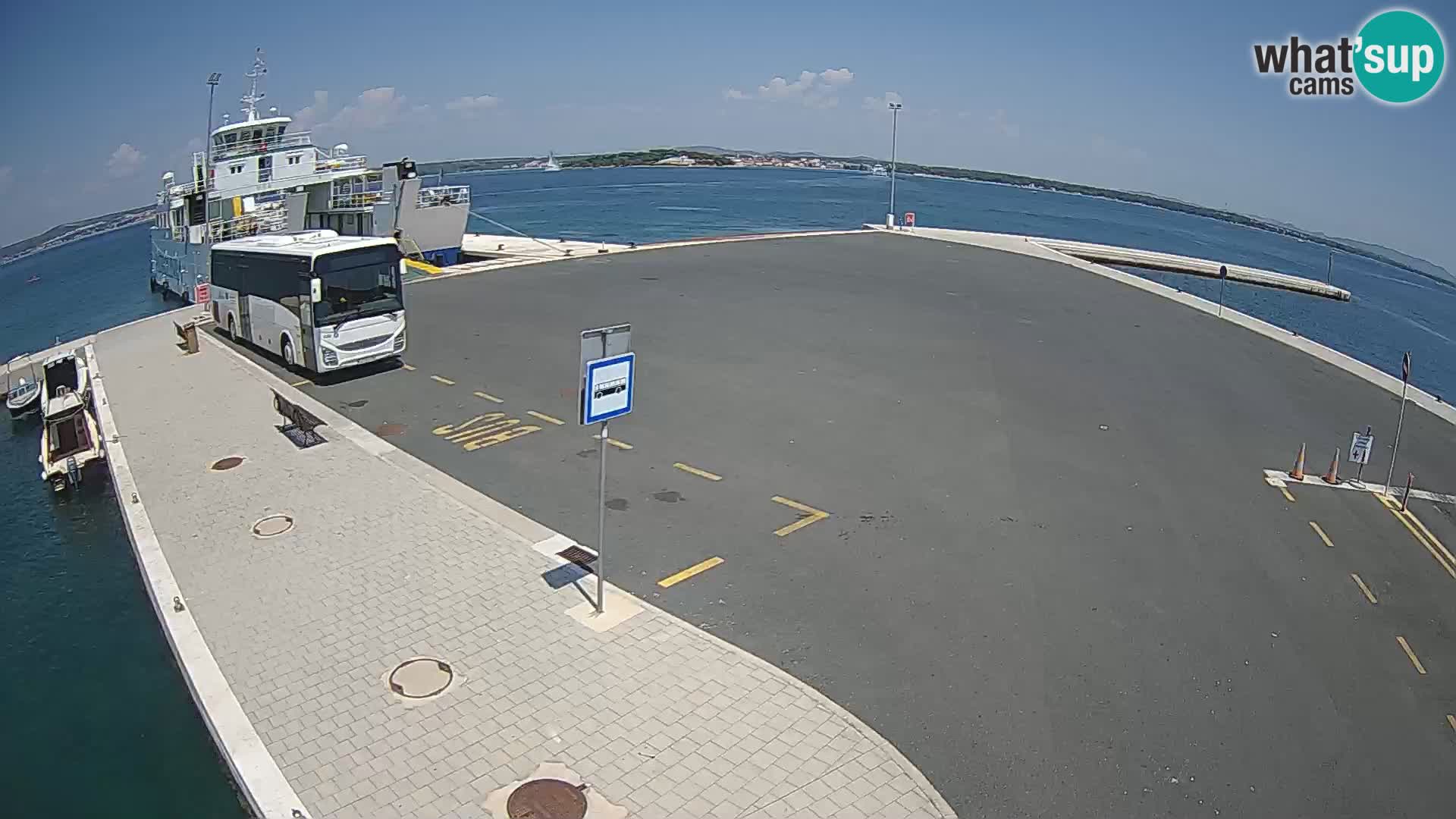 Tkon camera en vivo – Transportar – Dalmacia – Croacia
