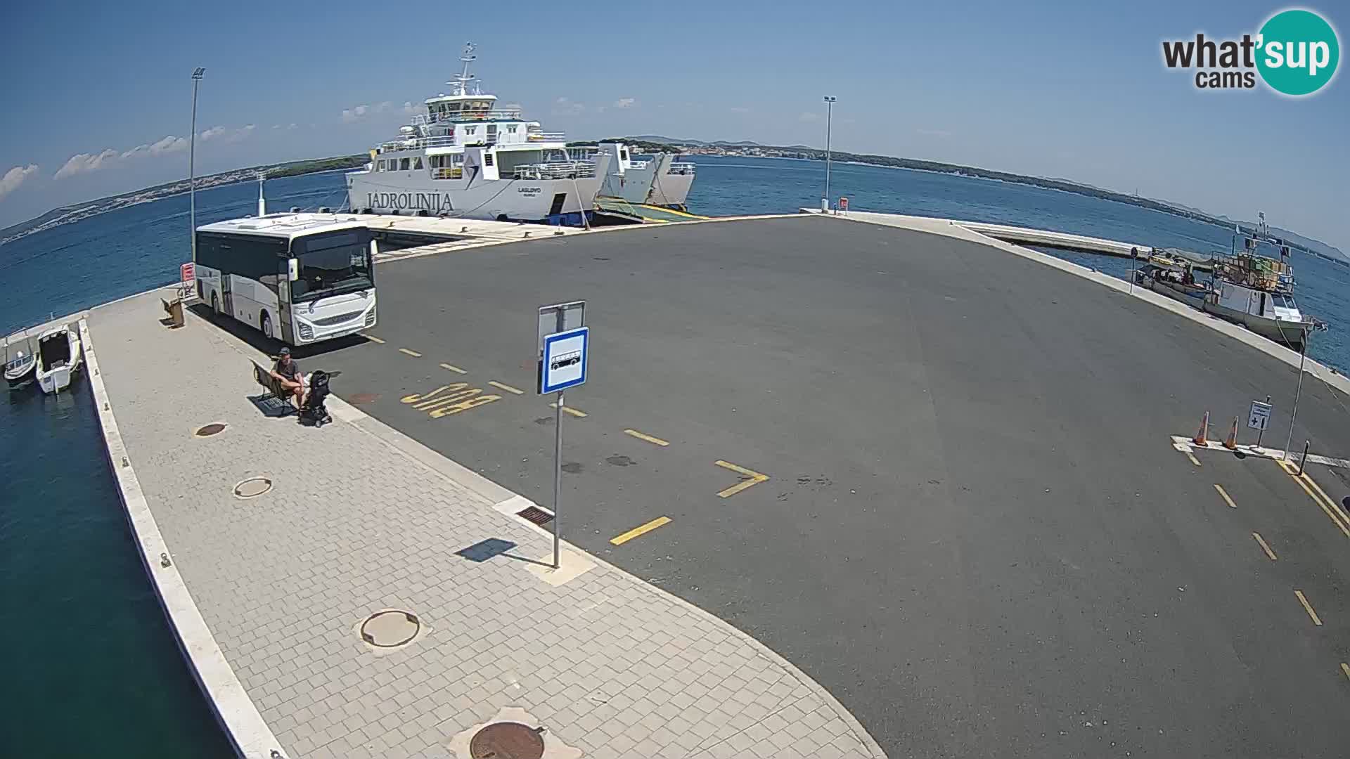Tkon v živo – trajekt – Dalmacija – Hrvaška