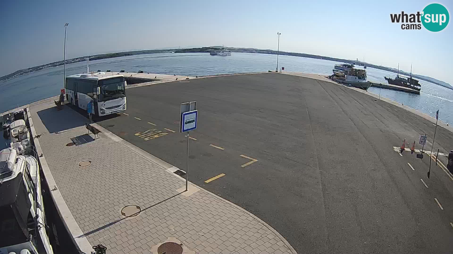 Tkon Live cam – ferry – Dalmatie – Croatie