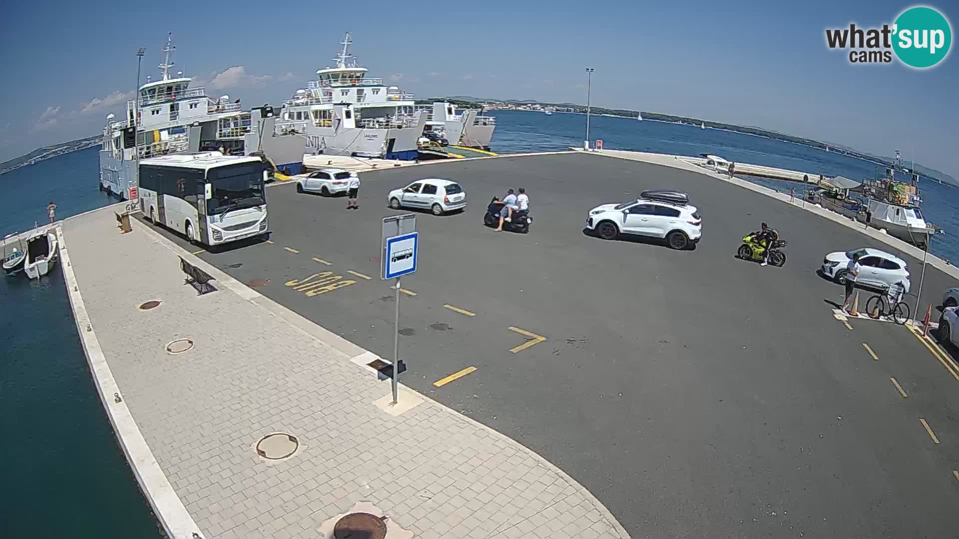 Tkon v živo – trajekt – Dalmacija – Hrvaška