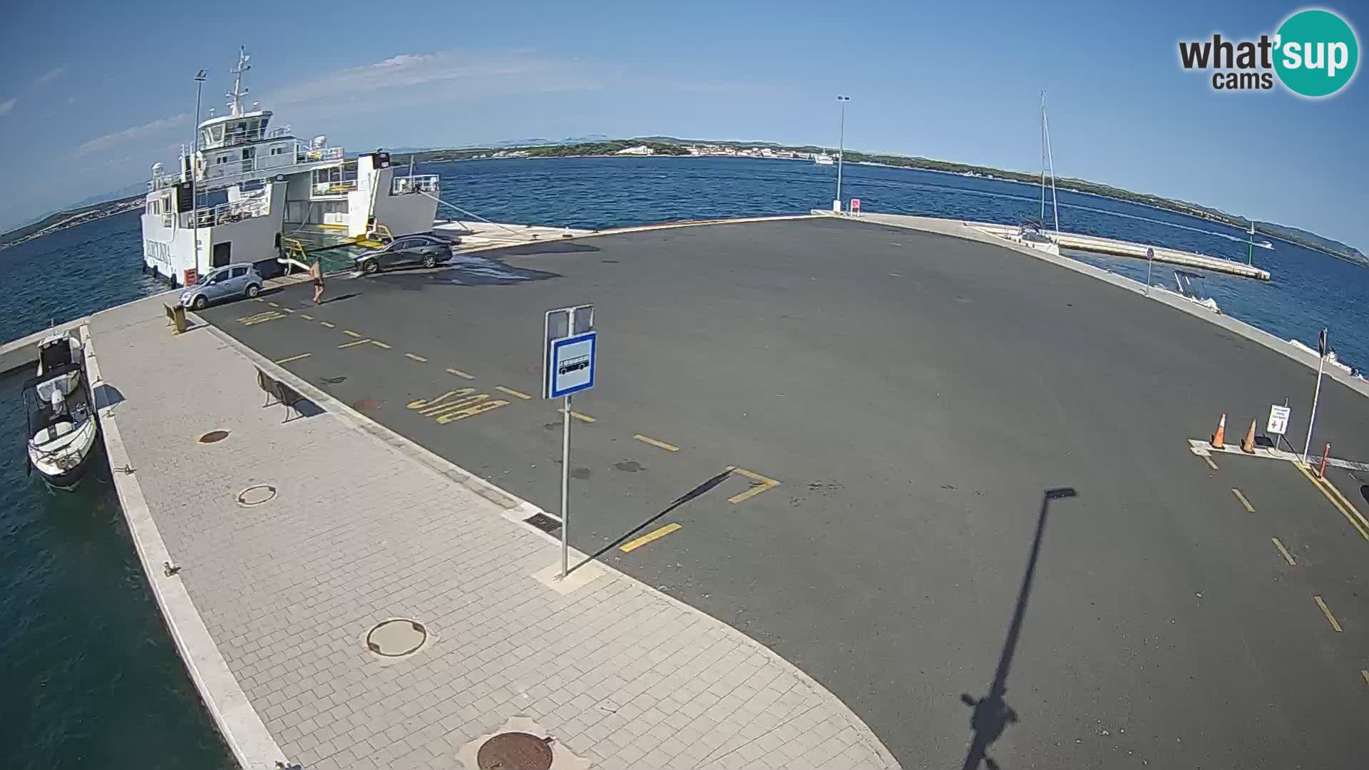 Tkon u živo – trajekt – Dalmacija