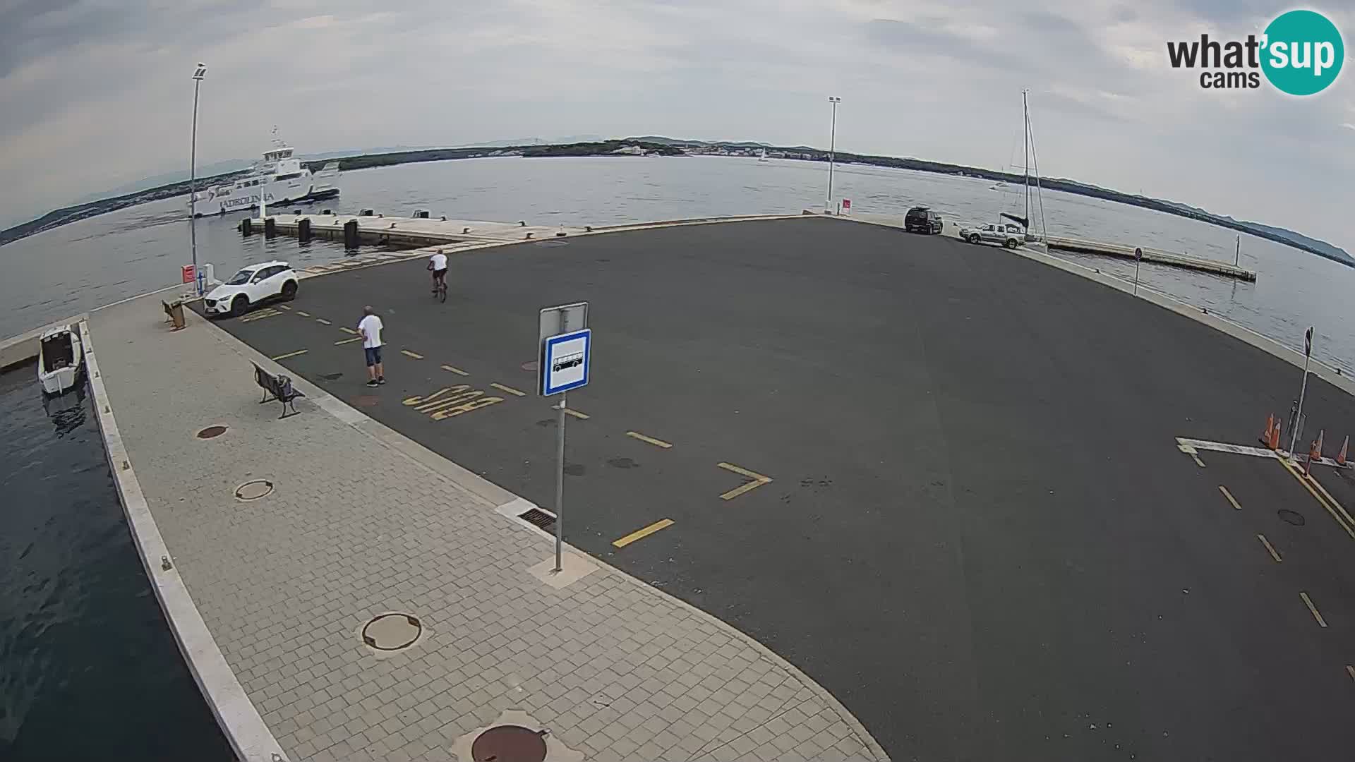 Tkon Live cam – traghetto – Dalmazia – Croazia