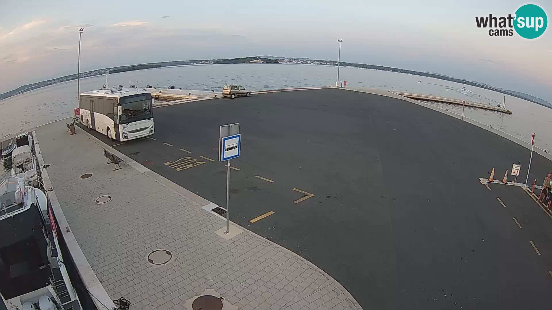 Tkon u živo – trajekt – Dalmacija