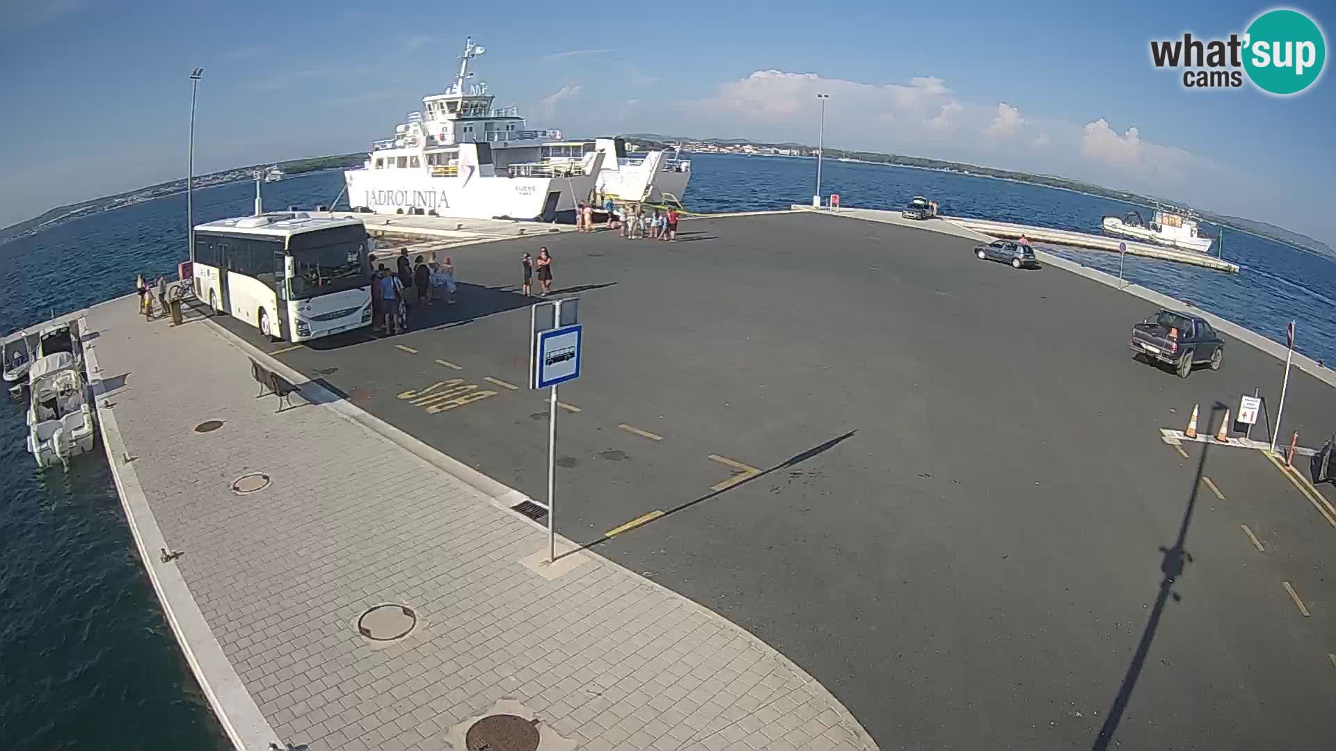 Tkon u živo – trajekt – Dalmacija