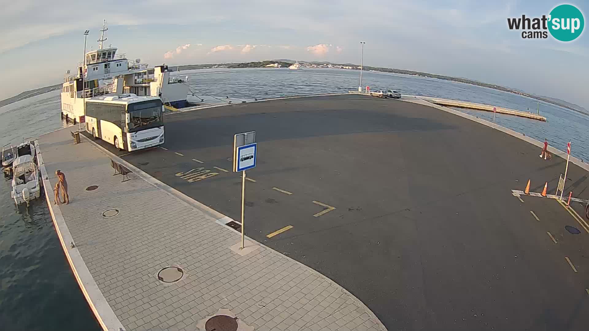 Tkon v živo – trajekt – Dalmacija – Hrvaška