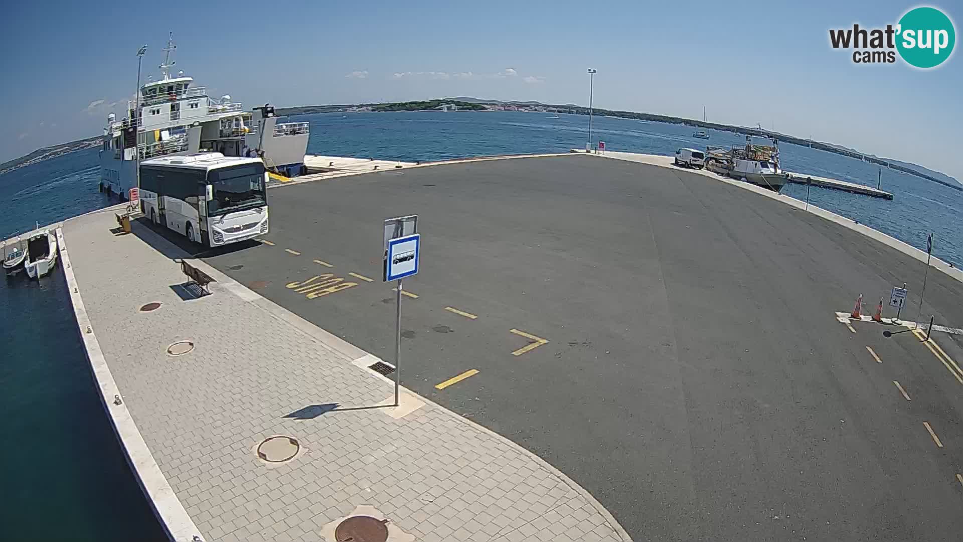 Tkon u živo – trajekt – Dalmacija