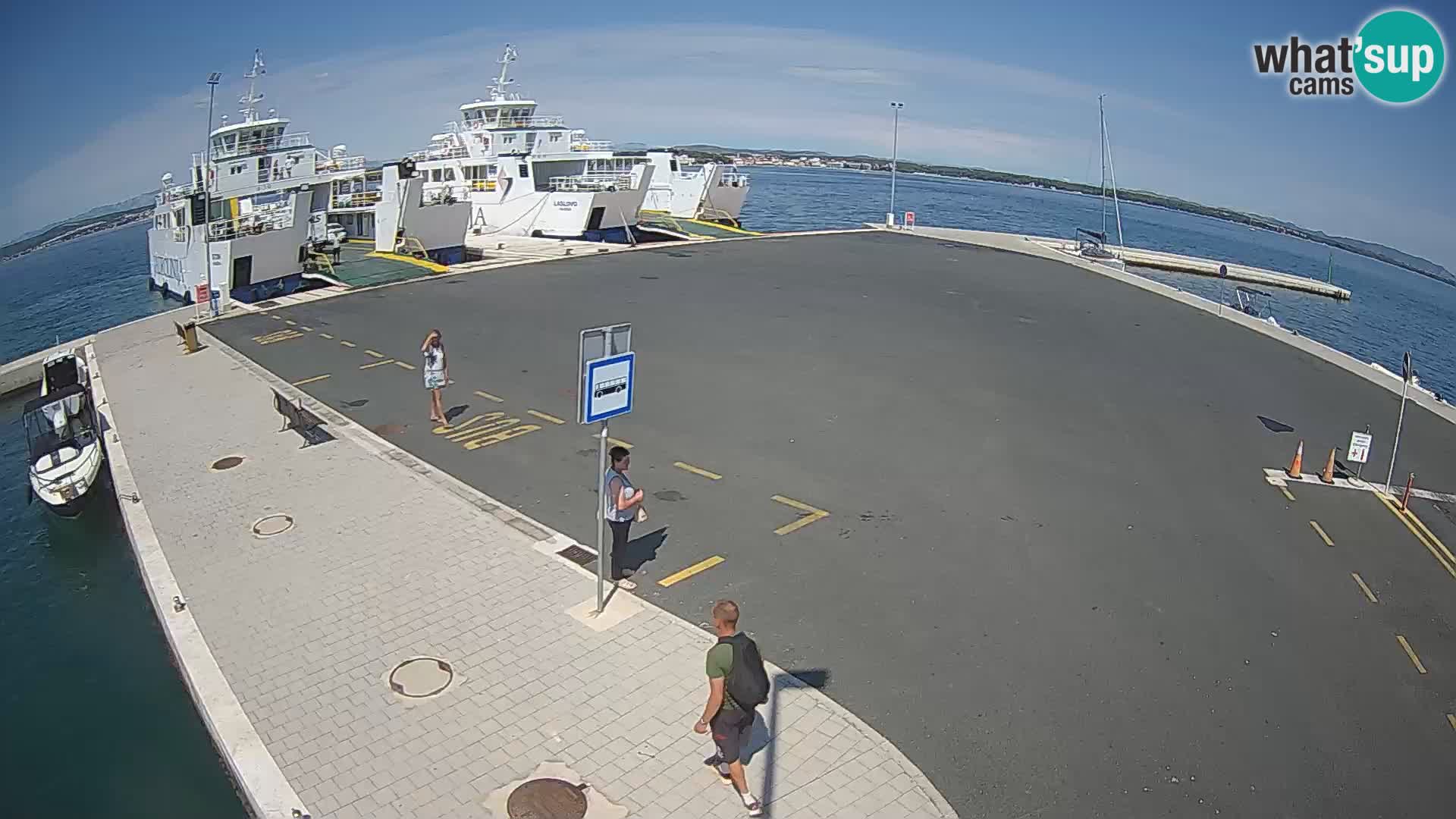 Tkon Live cam – ferry – Dalmatie – Croatie
