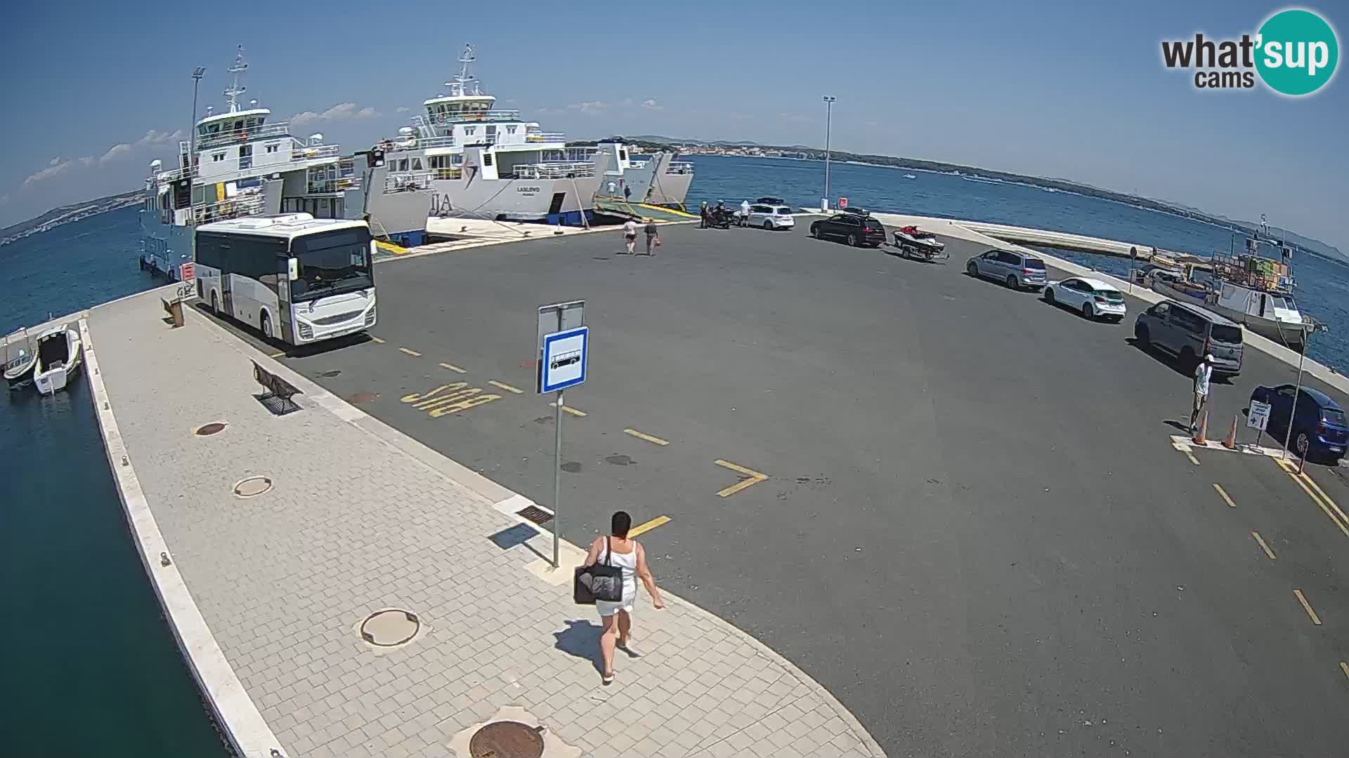Tkon v živo – trajekt – Dalmacija – Hrvaška