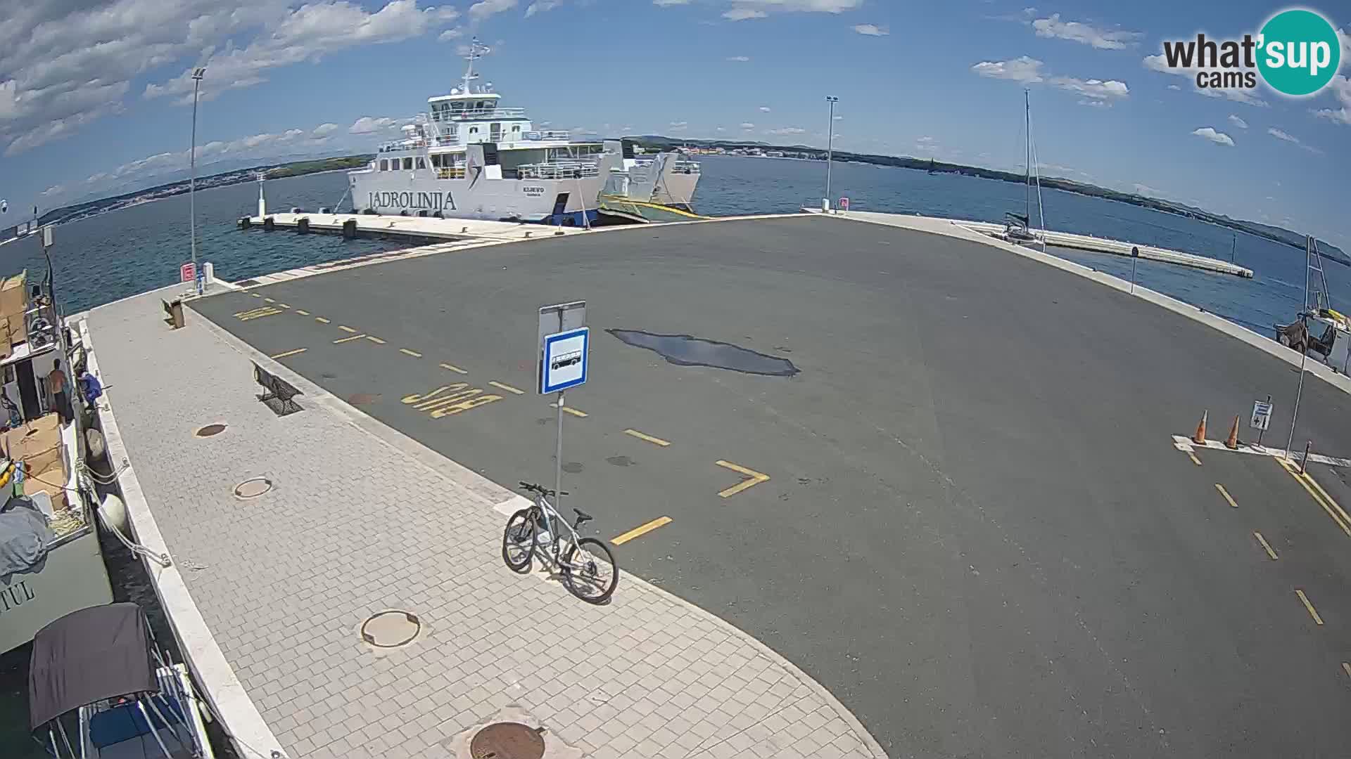 Tkon Live cam – ferry – Dalmatie – Croatie