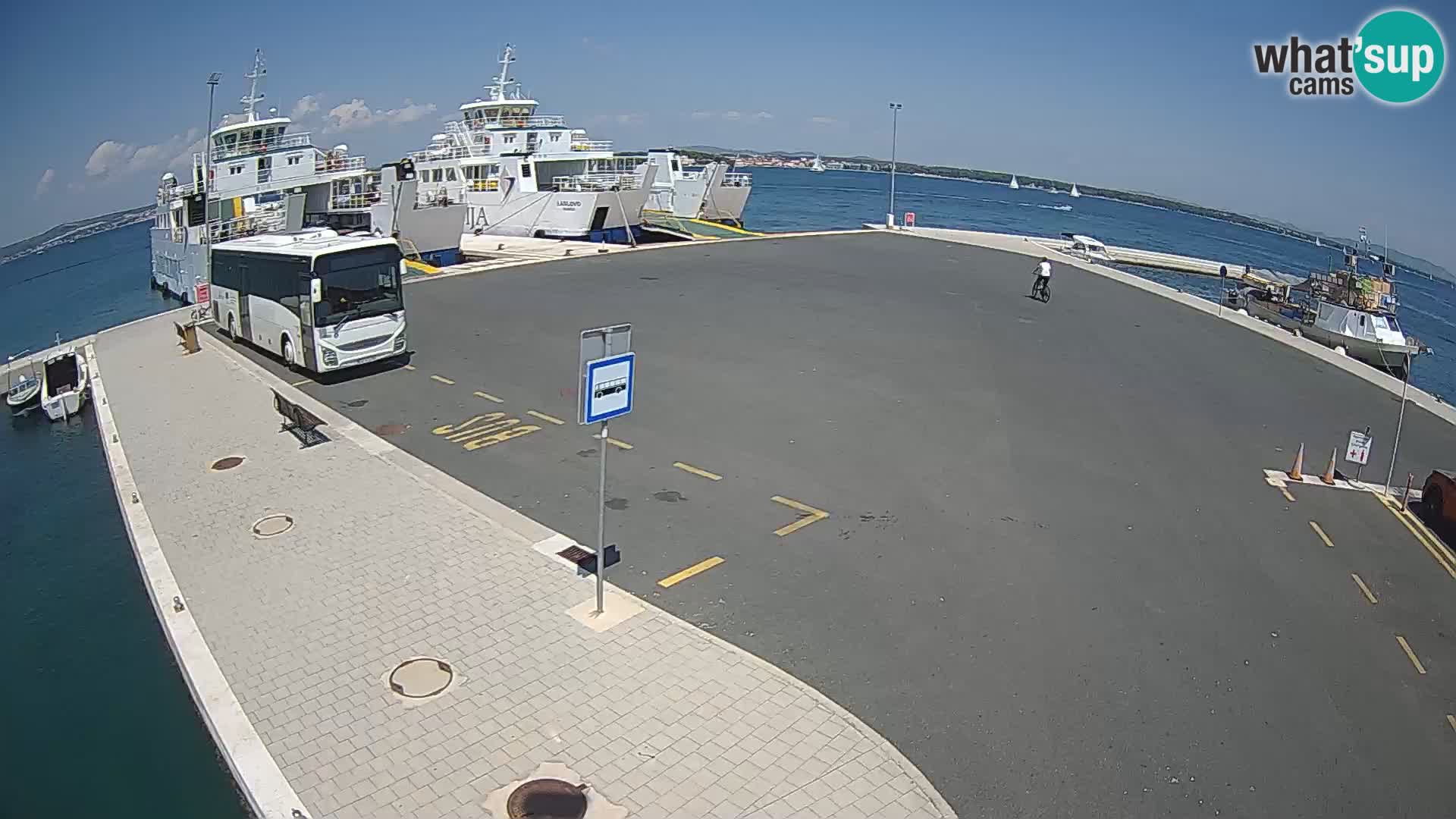 Tkon Live cam – ferry – Dalmatie – Croatie