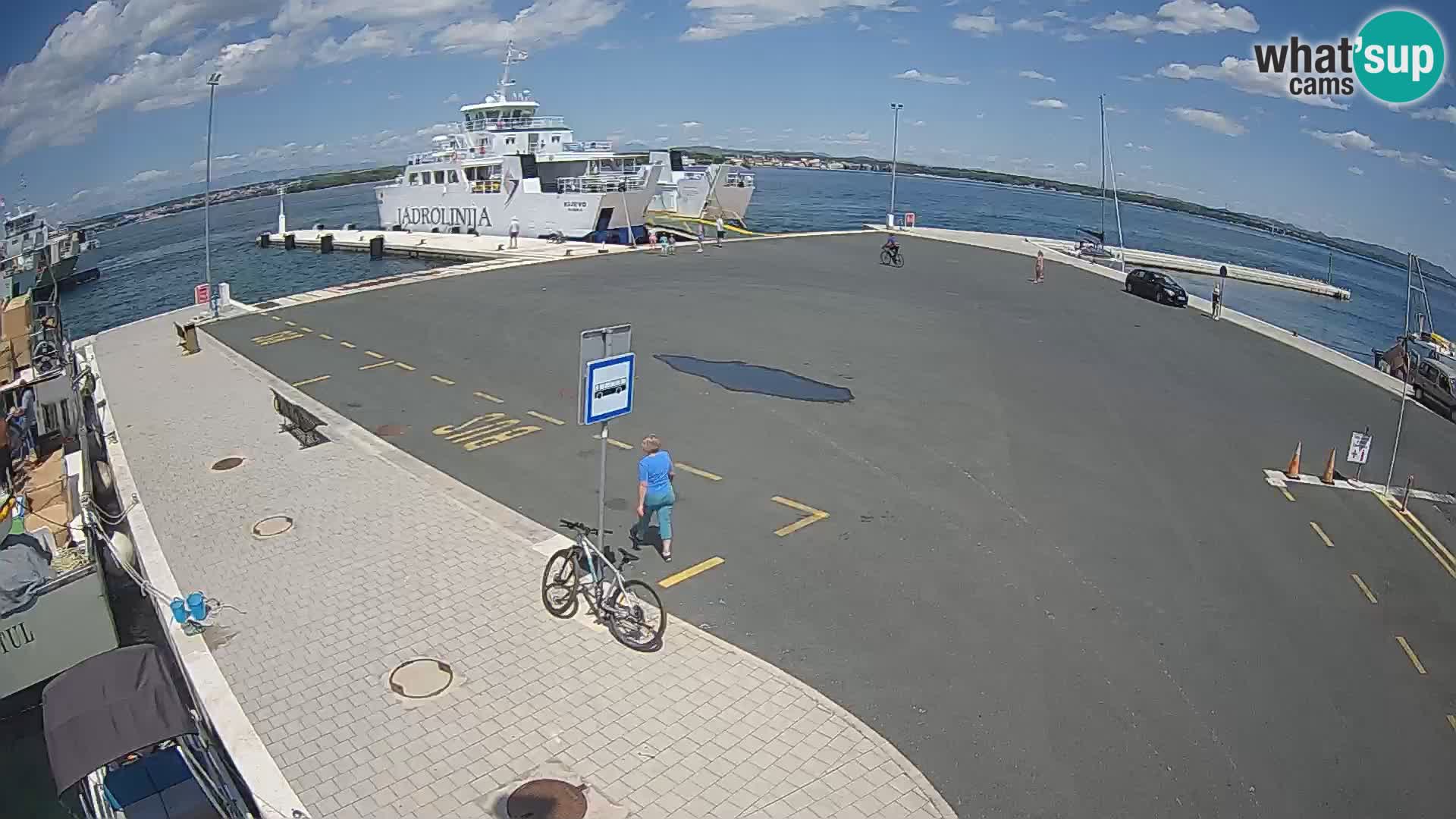 Tkon u živo – trajekt – Dalmacija