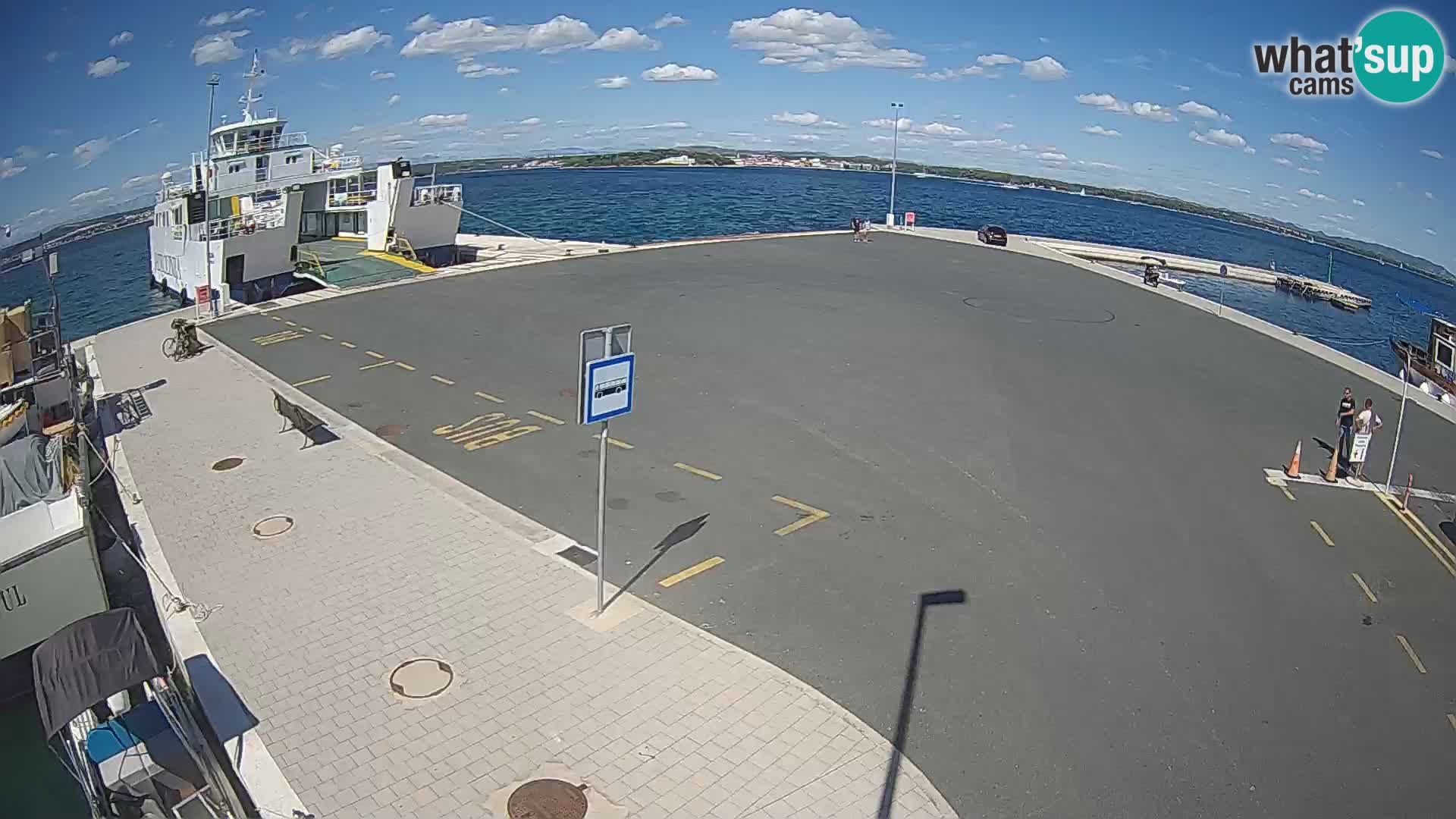 Tkon v živo – trajekt – Dalmacija – Hrvaška