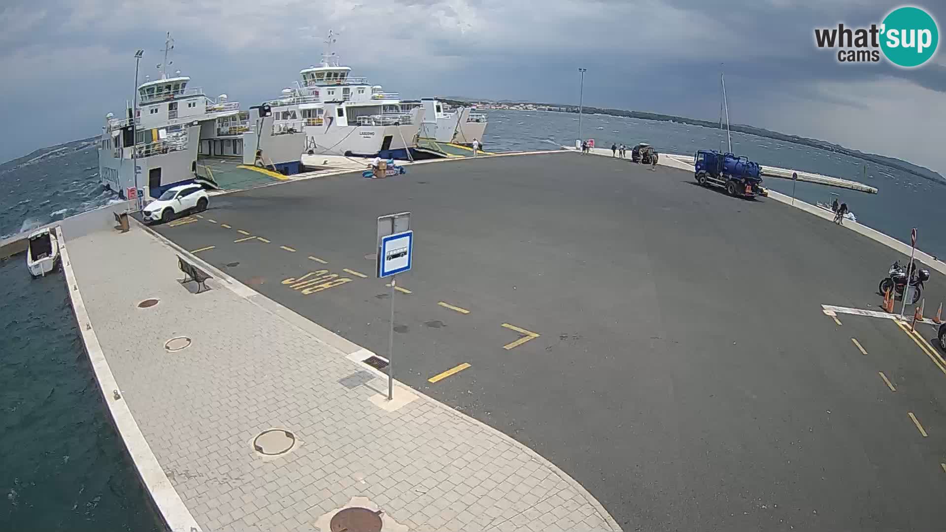 Tkon v živo – trajekt – Dalmacija – Hrvaška