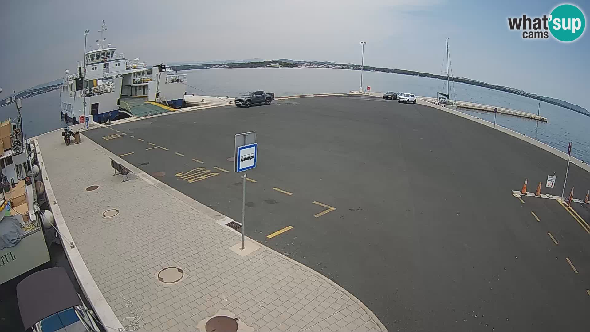 Tkon v živo – trajekt – Dalmacija – Hrvaška