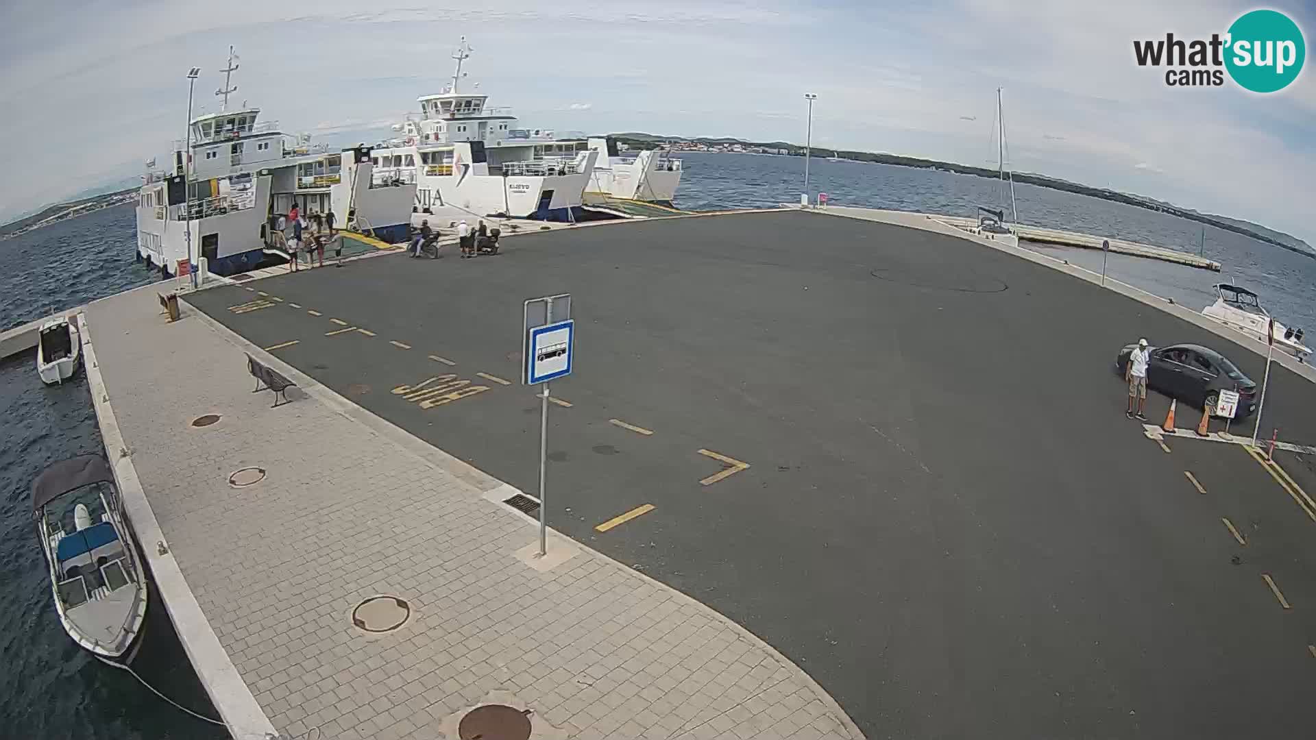 Tkon v živo – trajekt – Dalmacija – Hrvaška