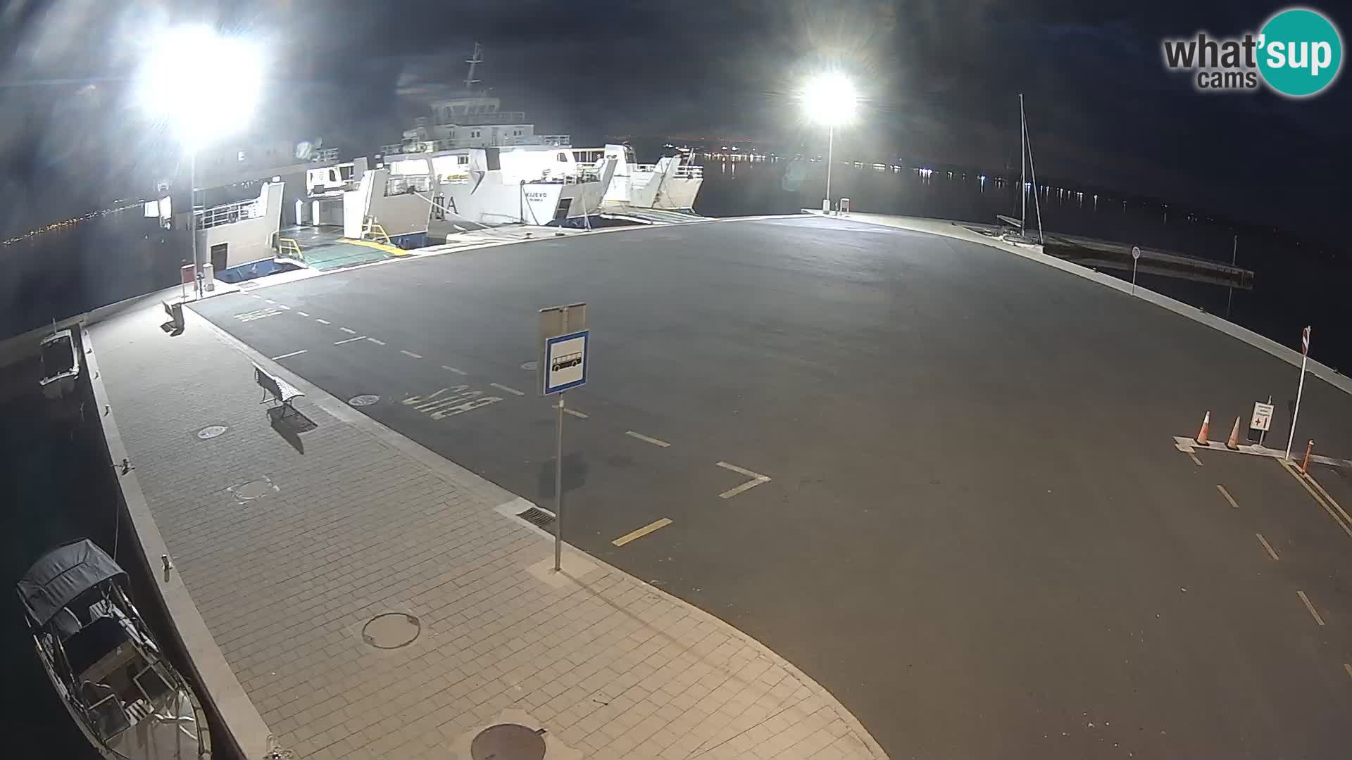 Tkon v živo – trajekt – Dalmacija – Hrvaška