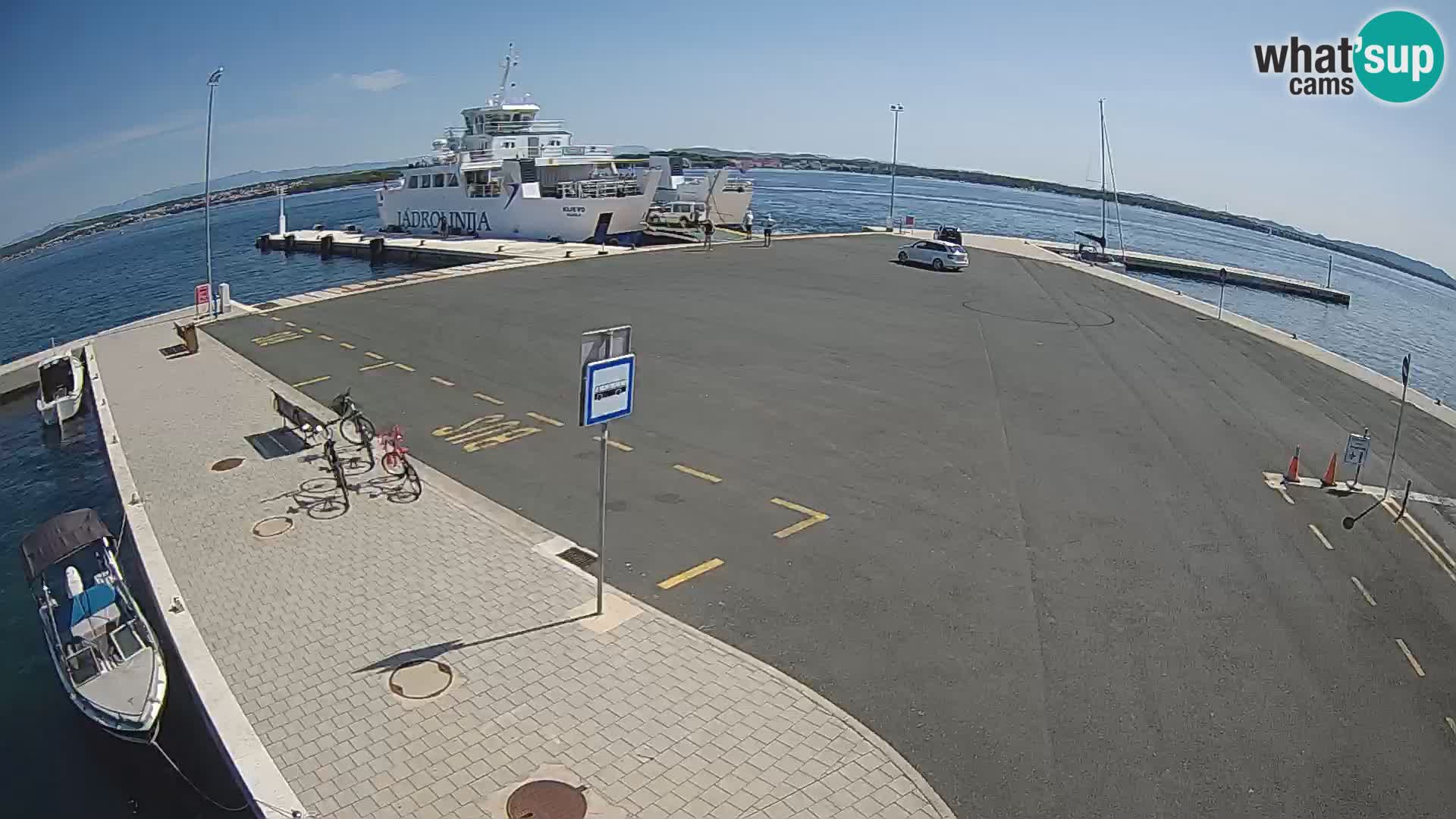 Tkon v živo – trajekt – Dalmacija – Hrvaška