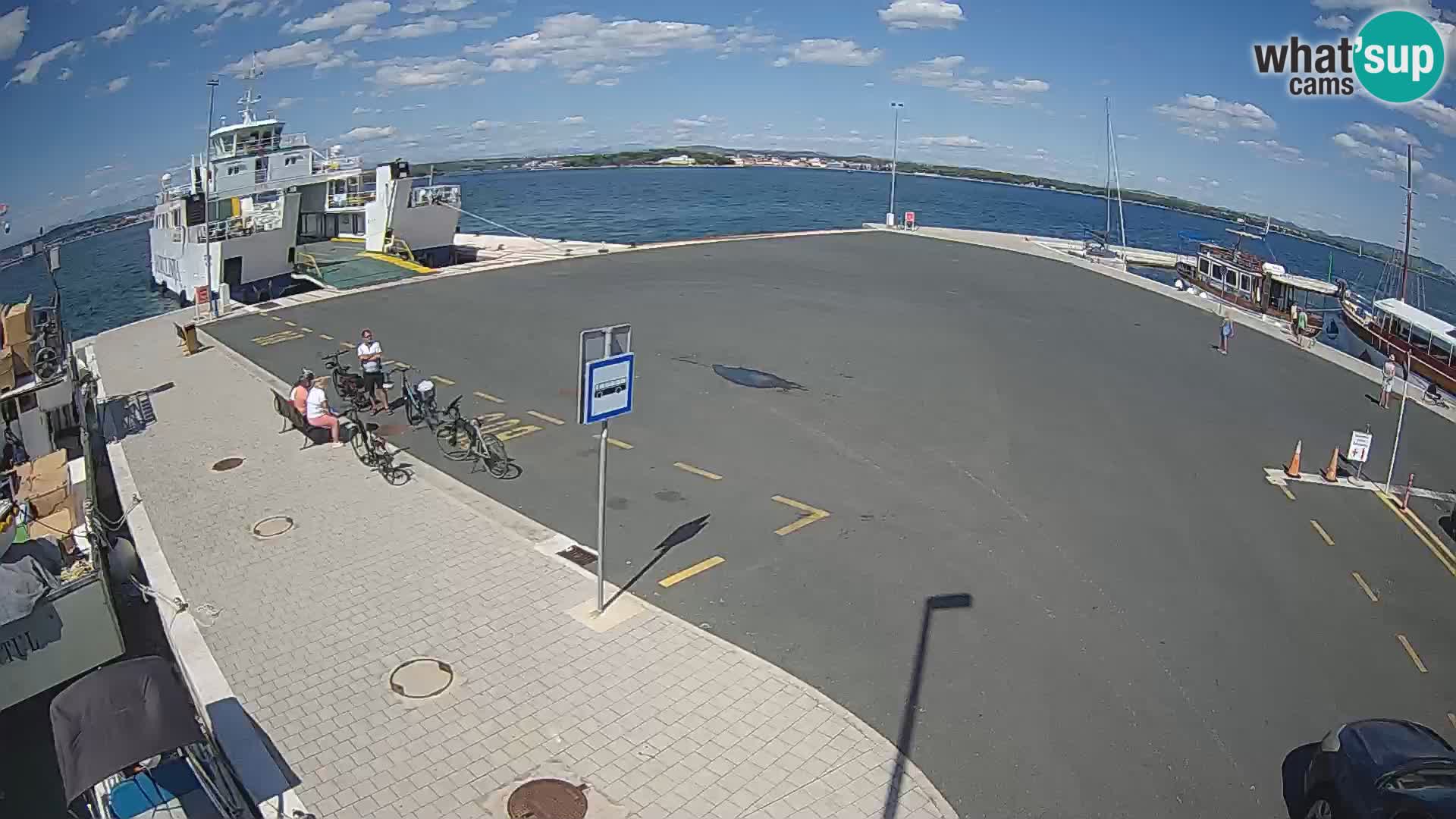 Tkon camera en vivo – Transportar – Dalmacia – Croacia