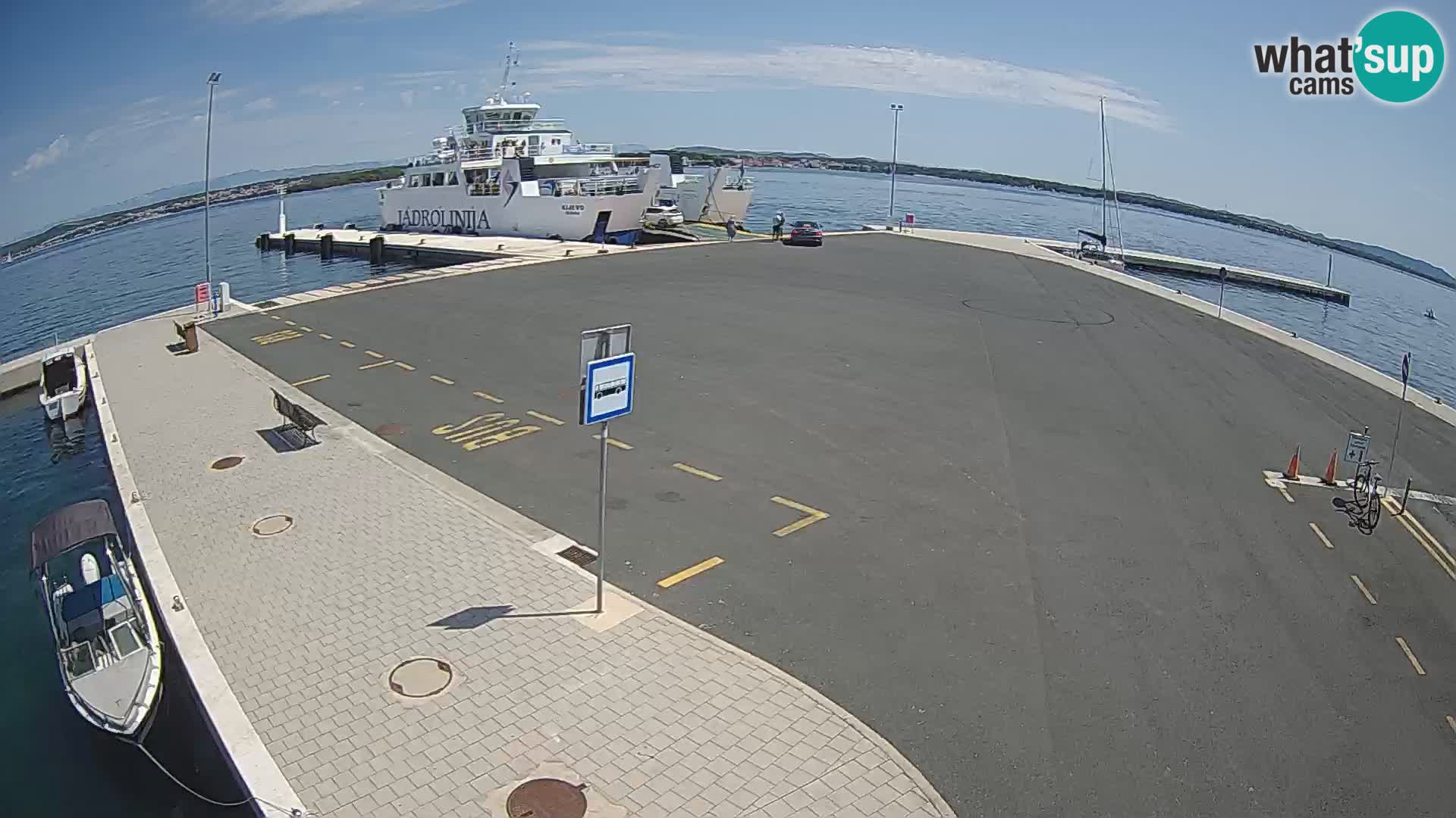 Tkon v živo – trajekt – Dalmacija – Hrvaška