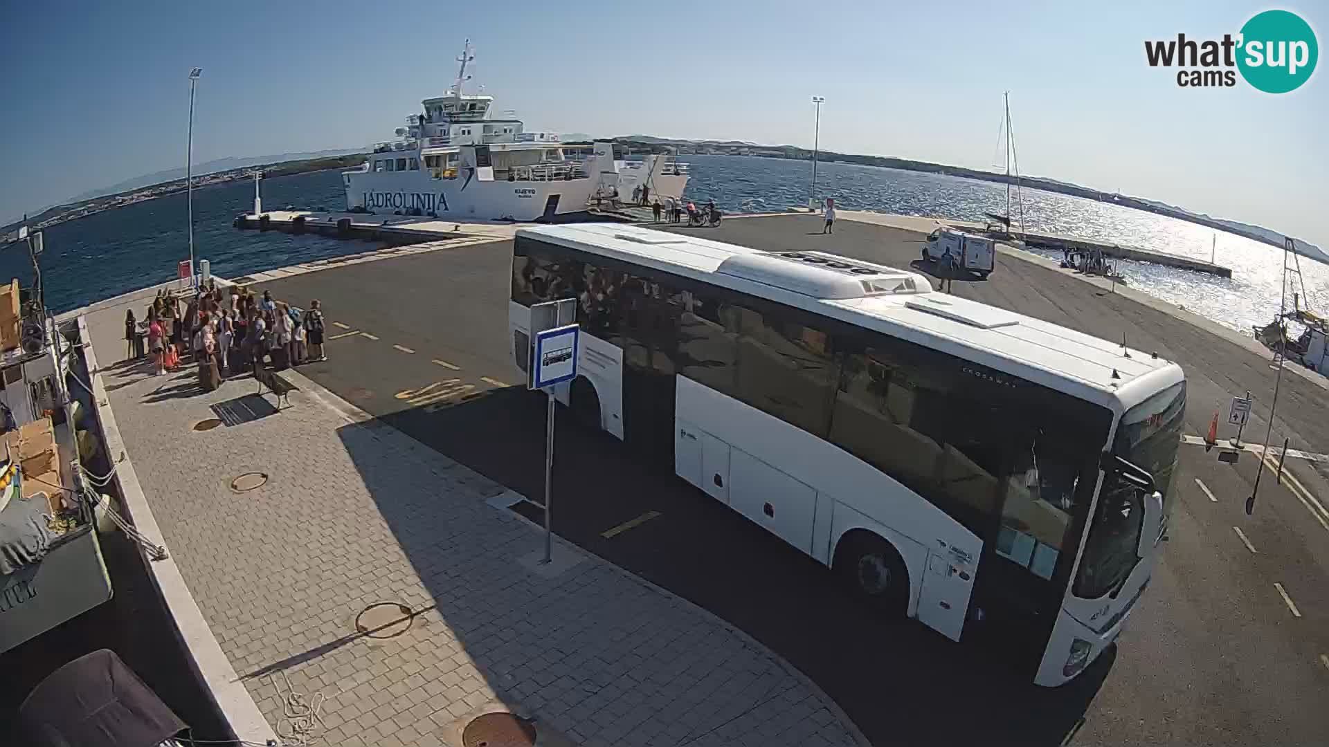 Tkon u živo – trajekt – Dalmacija