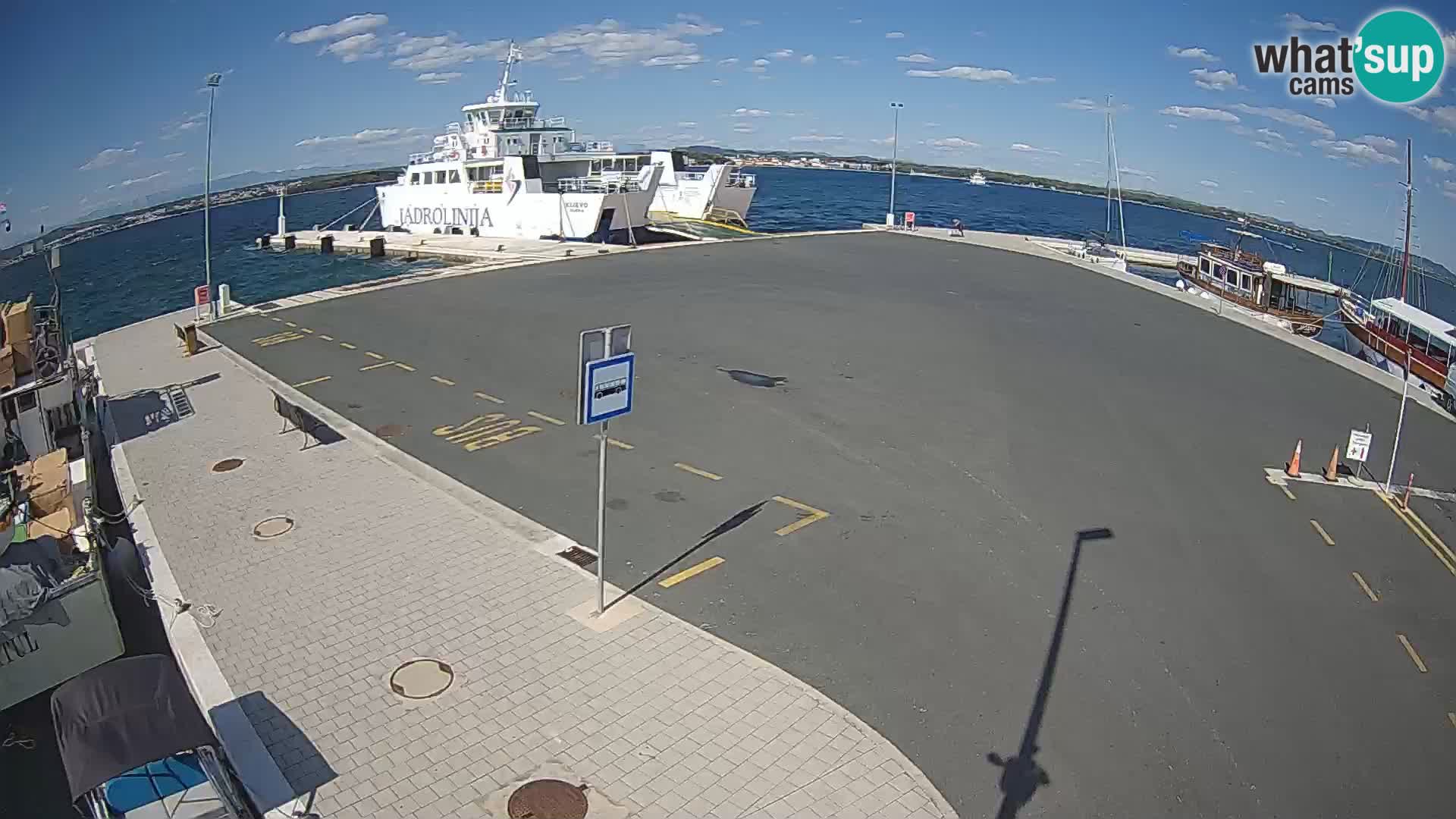 Tkon camera en vivo – Transportar – Dalmacia – Croacia