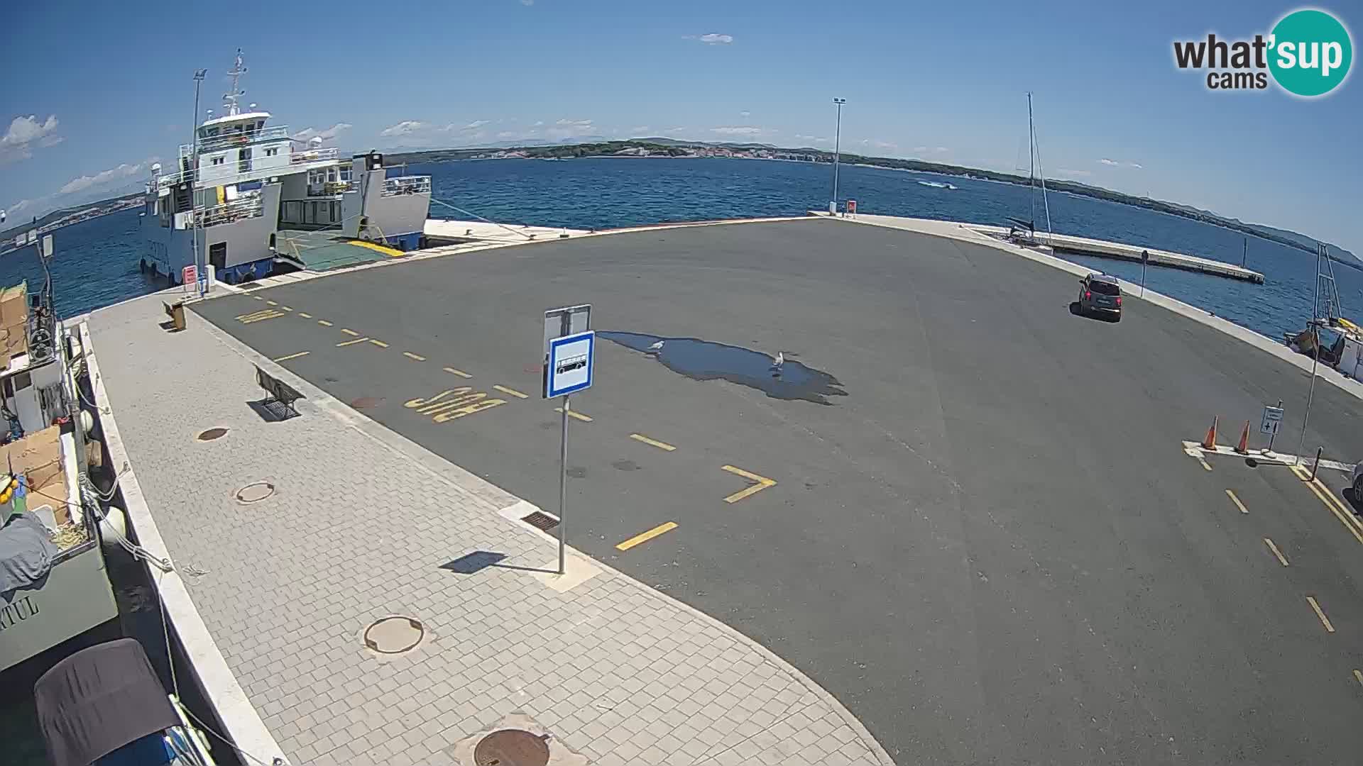 Tkon u živo – trajekt – Dalmacija