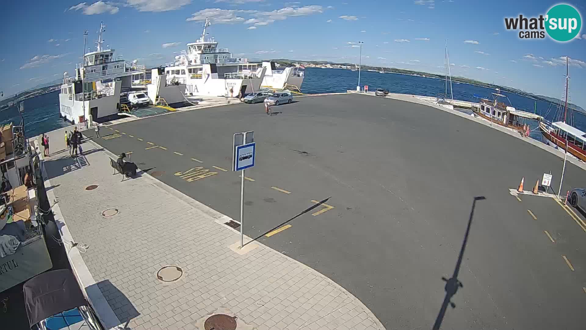 Tkon Live cam – ferry – Dalmatia – Croatia