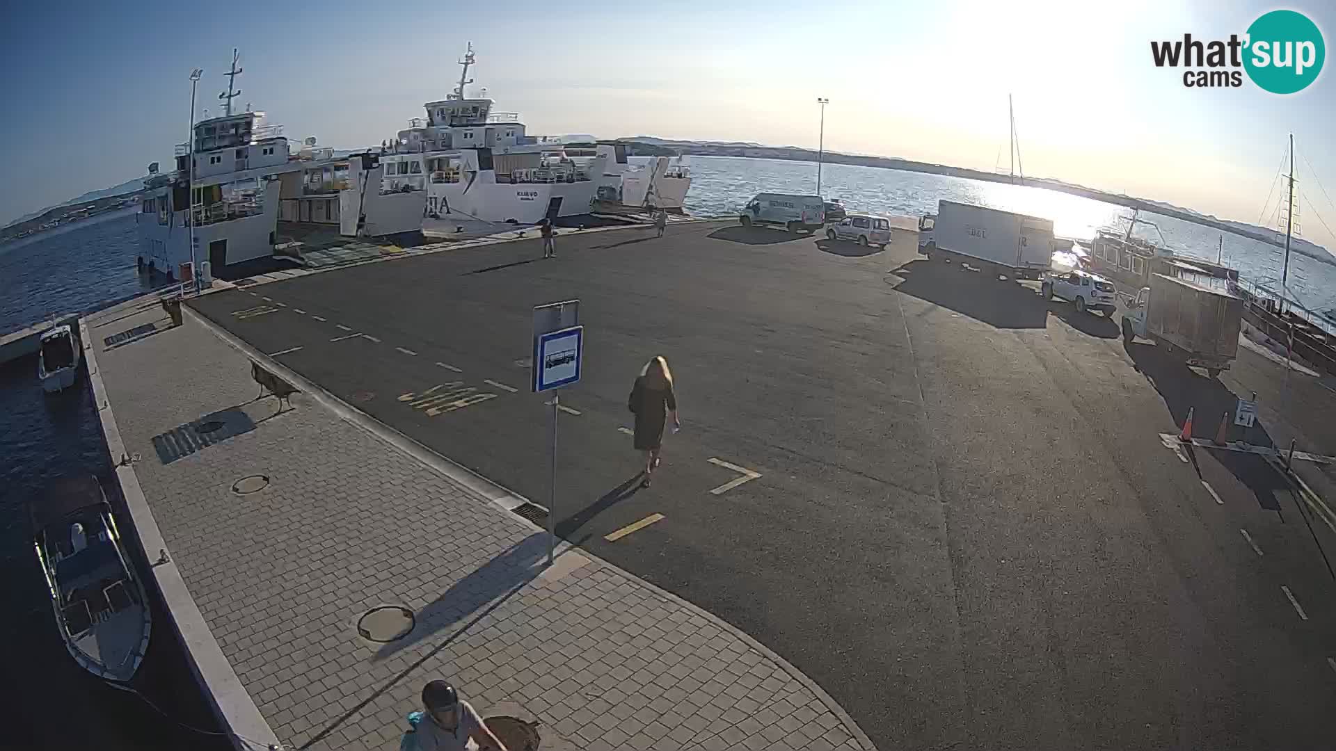 Tkon u živo – trajekt – Dalmacija