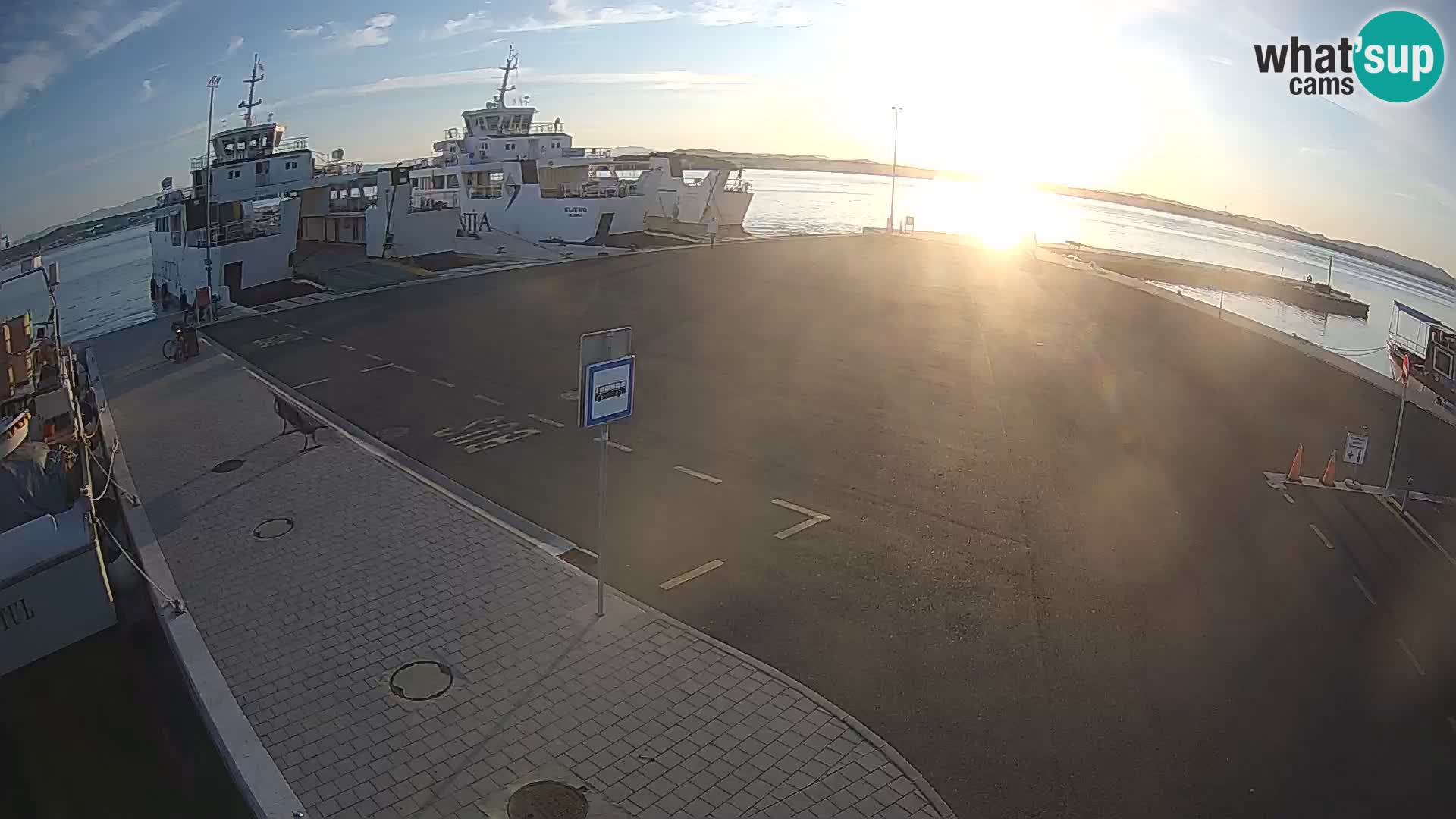Tkon Live cam – ferry – Dalmatie – Croatie