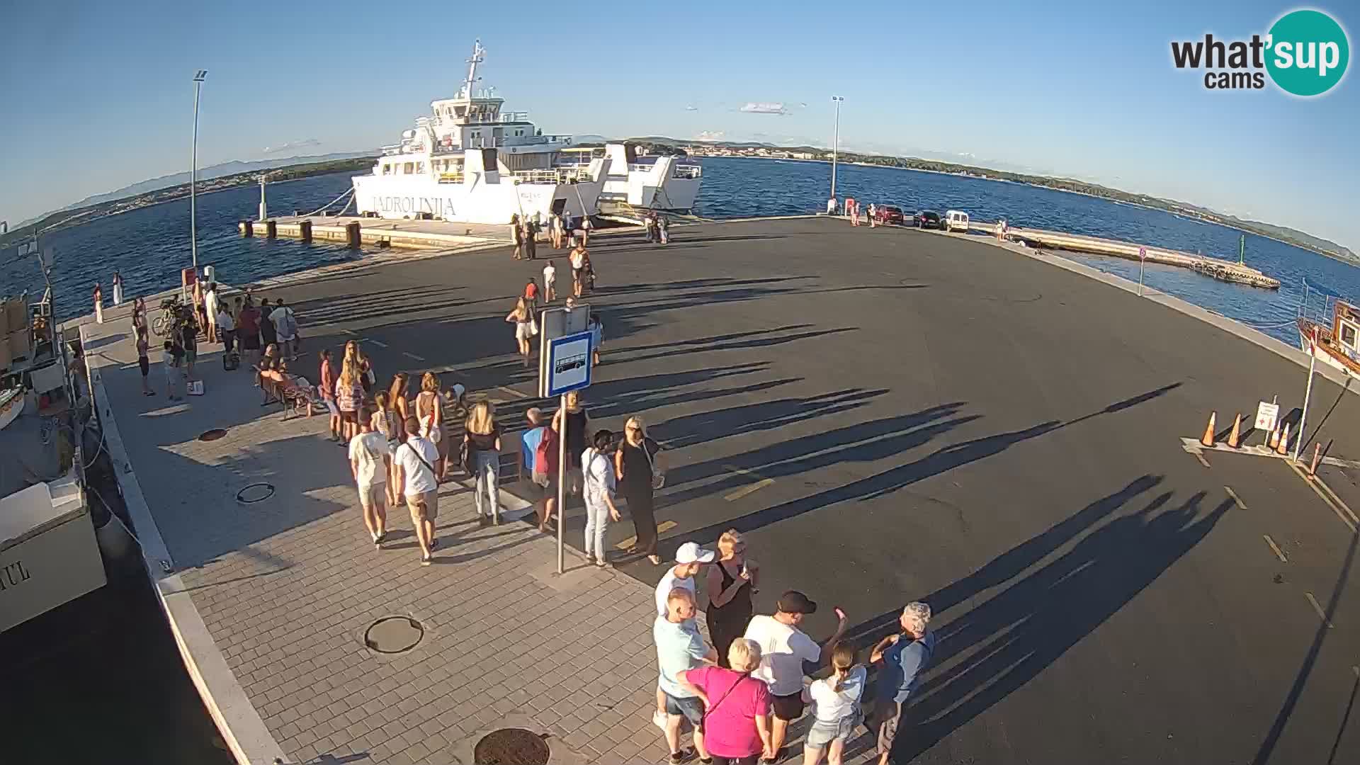 Tkon camera en vivo – Transportar – Dalmacia – Croacia