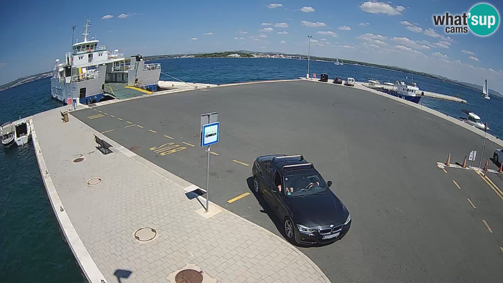 Tkon v živo – trajekt – Dalmacija – Hrvaška