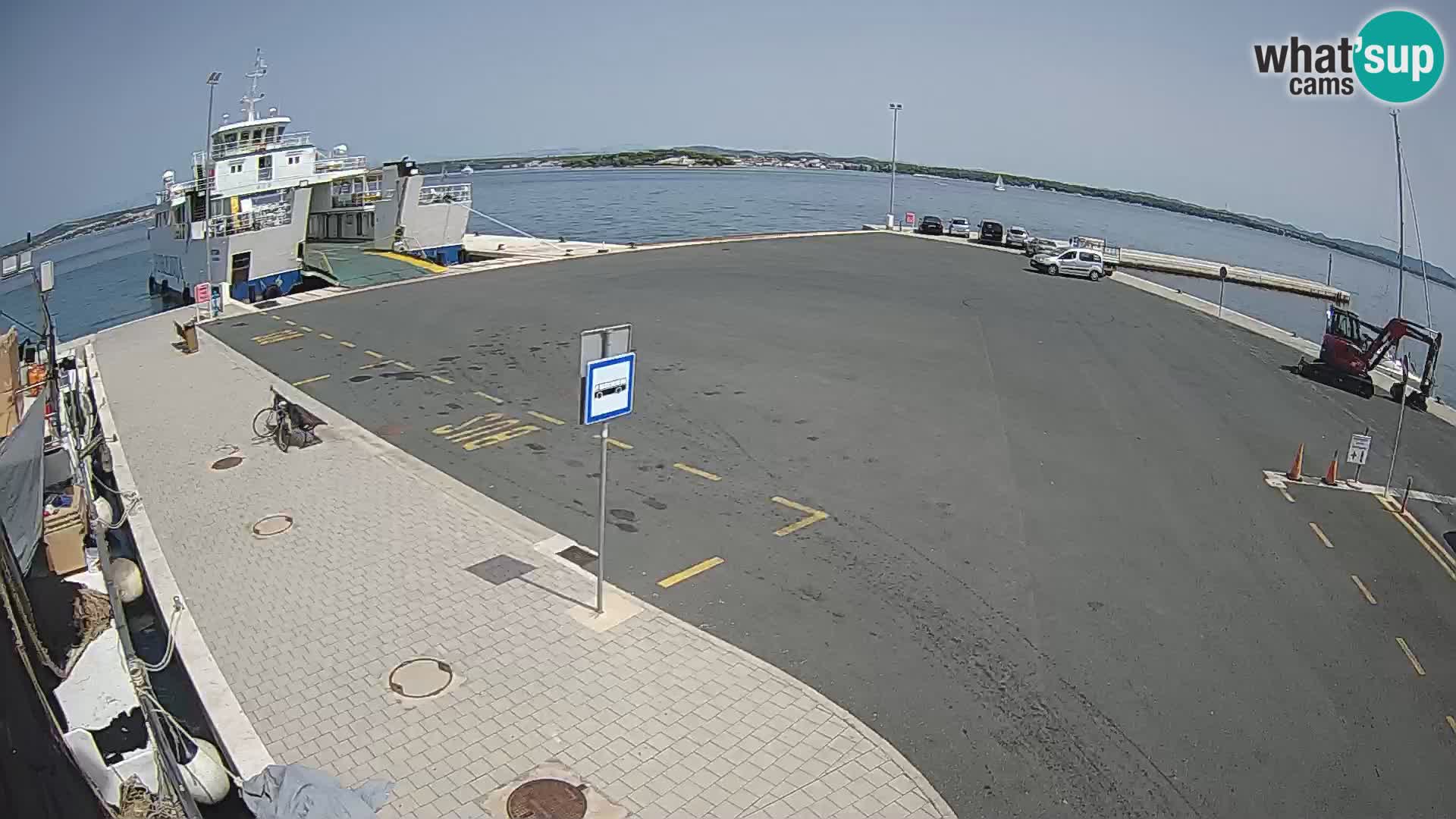Tkon v živo – trajekt – Dalmacija – Hrvaška