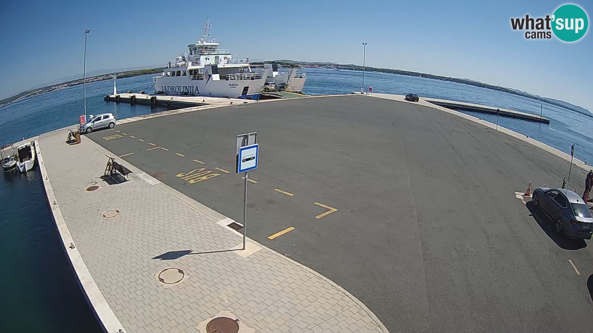 Tkon v živo – trajekt – Dalmacija – Hrvaška