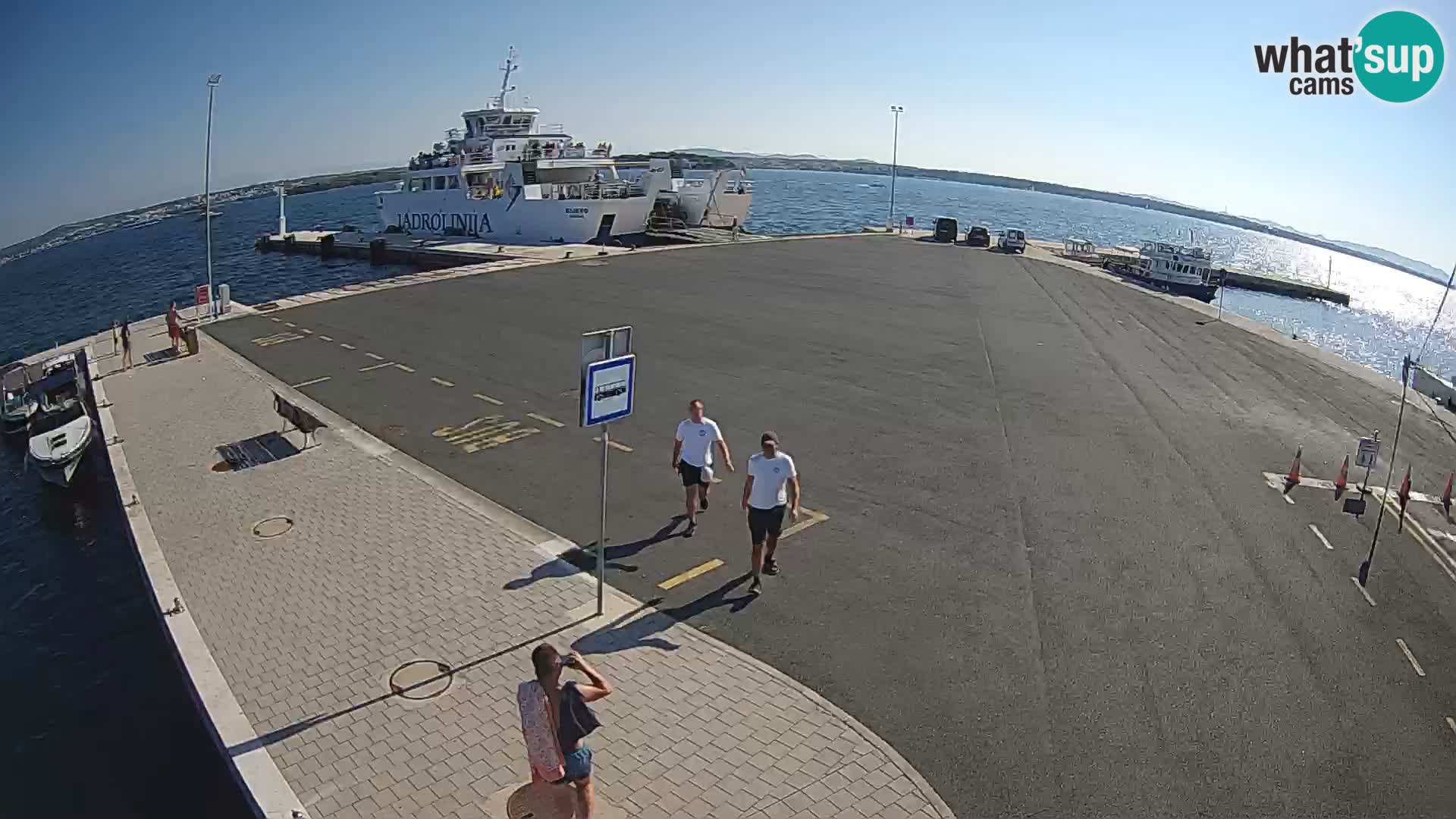 Tkon camera en vivo – Transportar – Dalmacia – Croacia