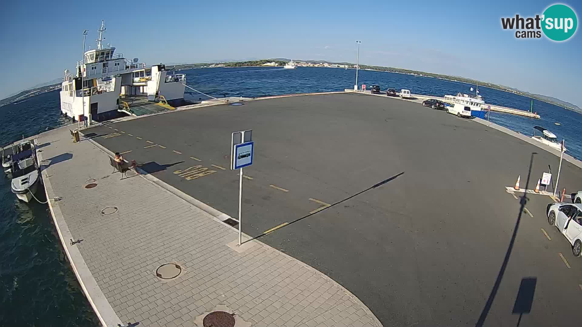 Tkon v živo – trajekt – Dalmacija – Hrvaška